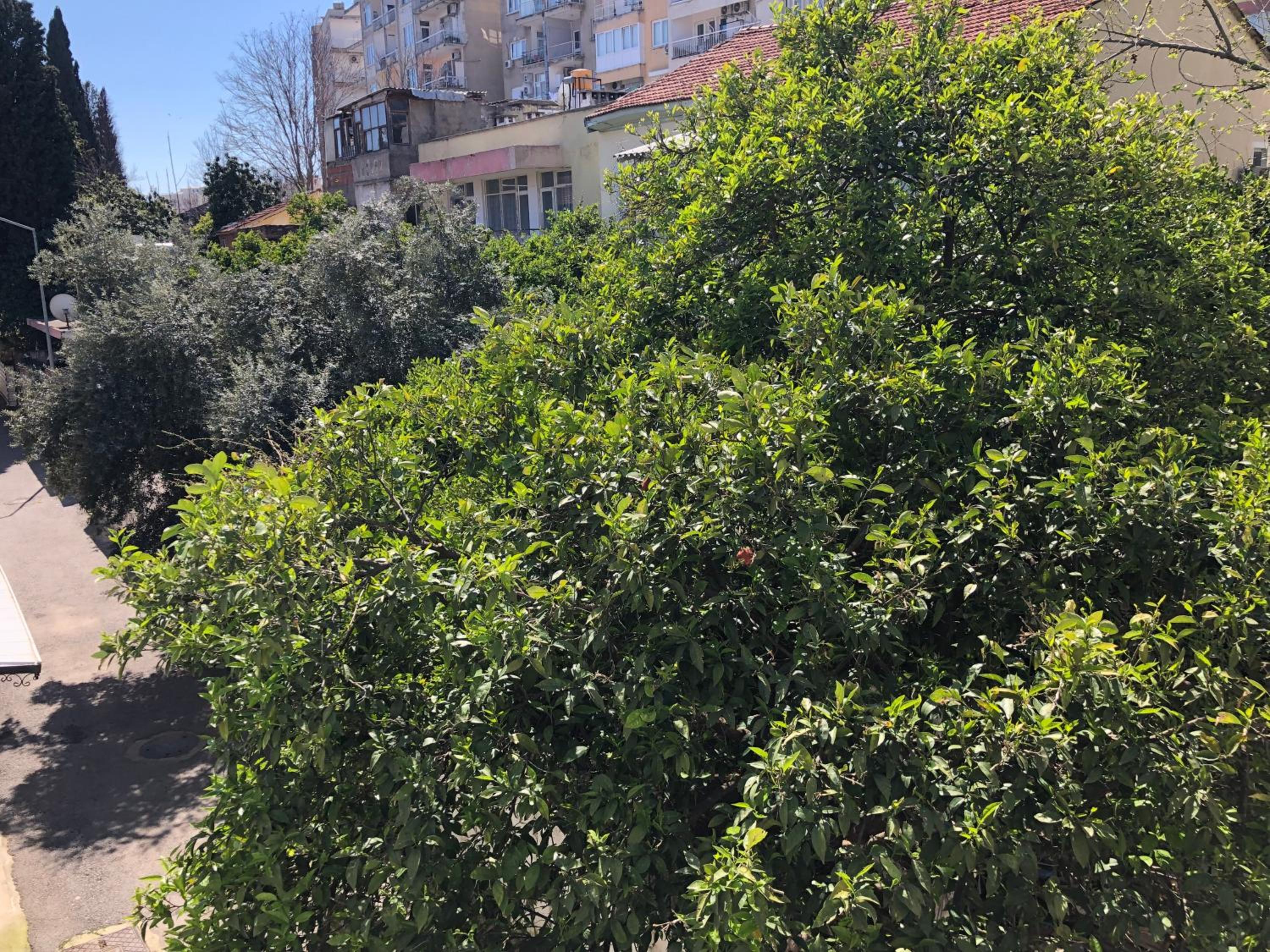 Kaleiçi muhteşem konum uygun fiyat studio ev
