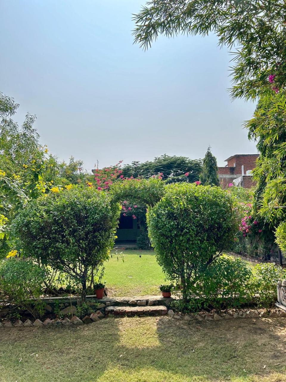 AASRA- A Minimalist Farmstay view 2