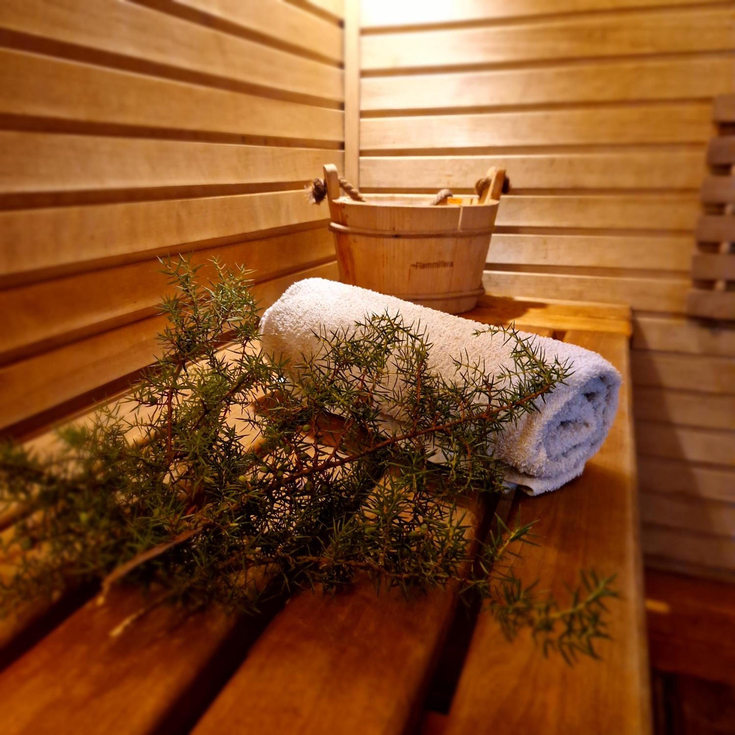Mini saunahouse