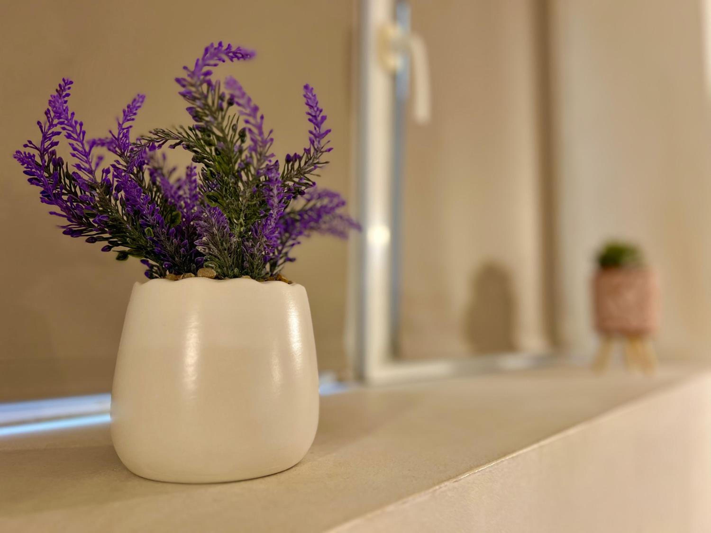 TOP Center, basement fl, 7 beds, 10min from Serdica