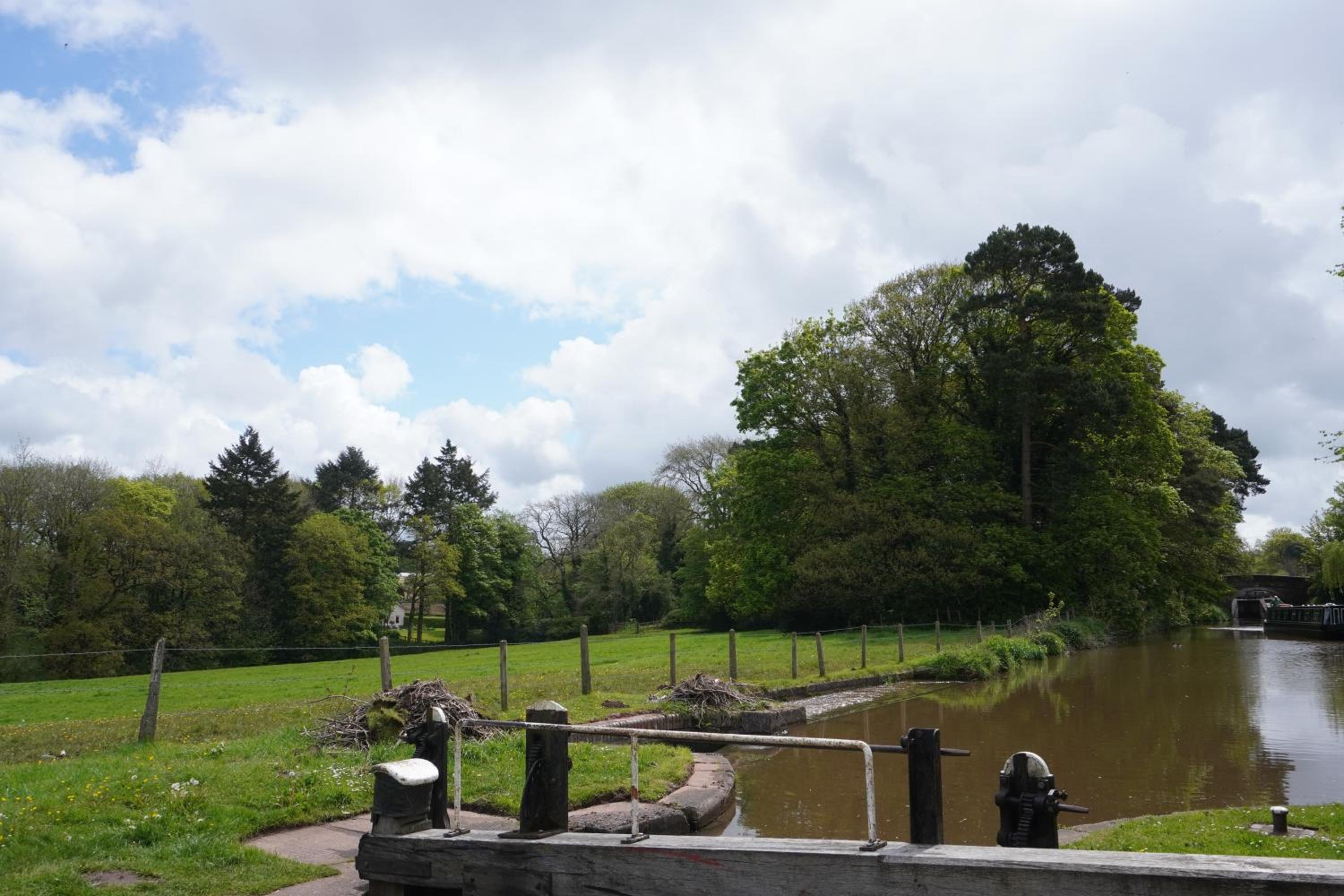 Architect-Designed Quiet Canal Cabin, Dogs Welcome view 2