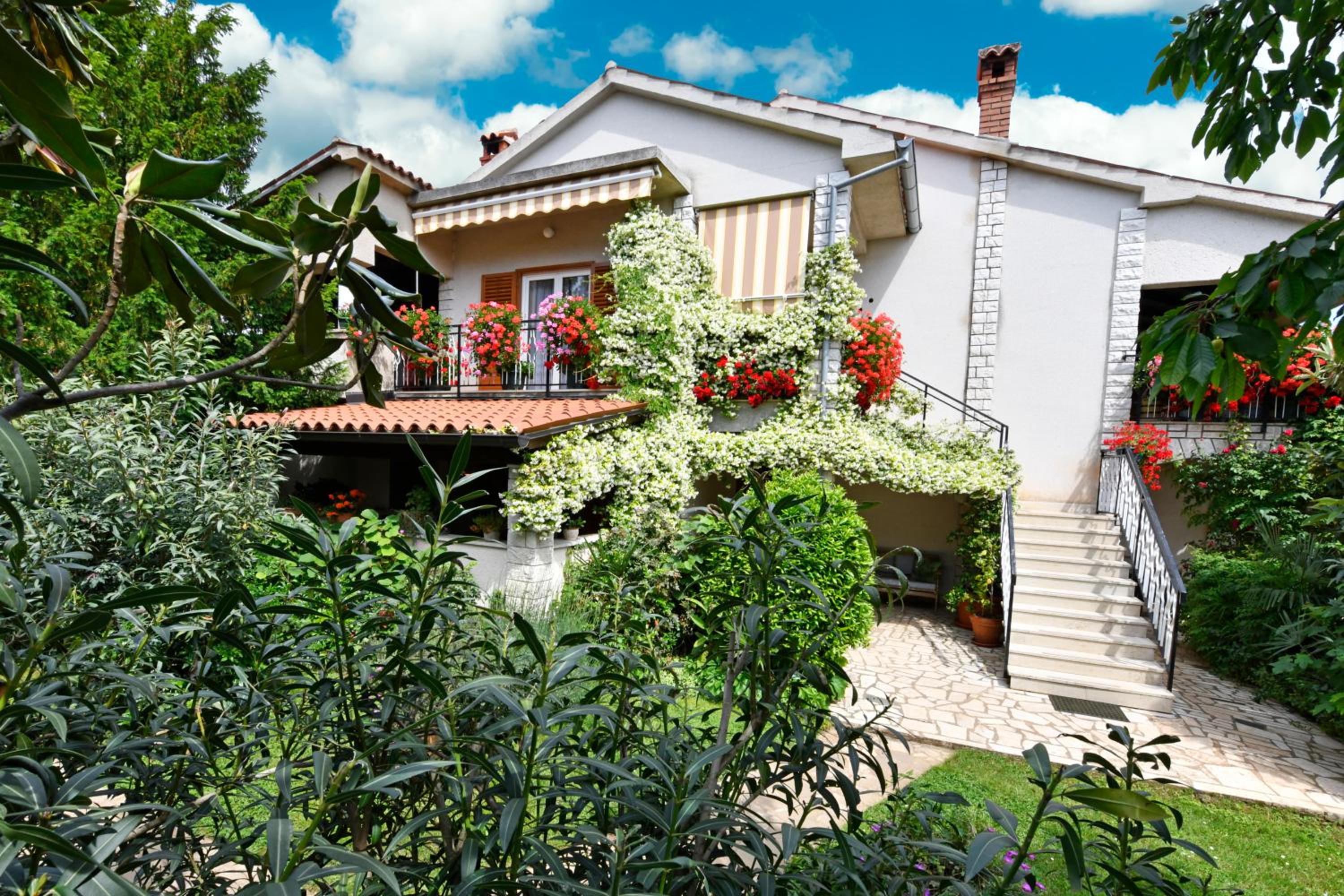 Apartment Slavica Vrvari view 3