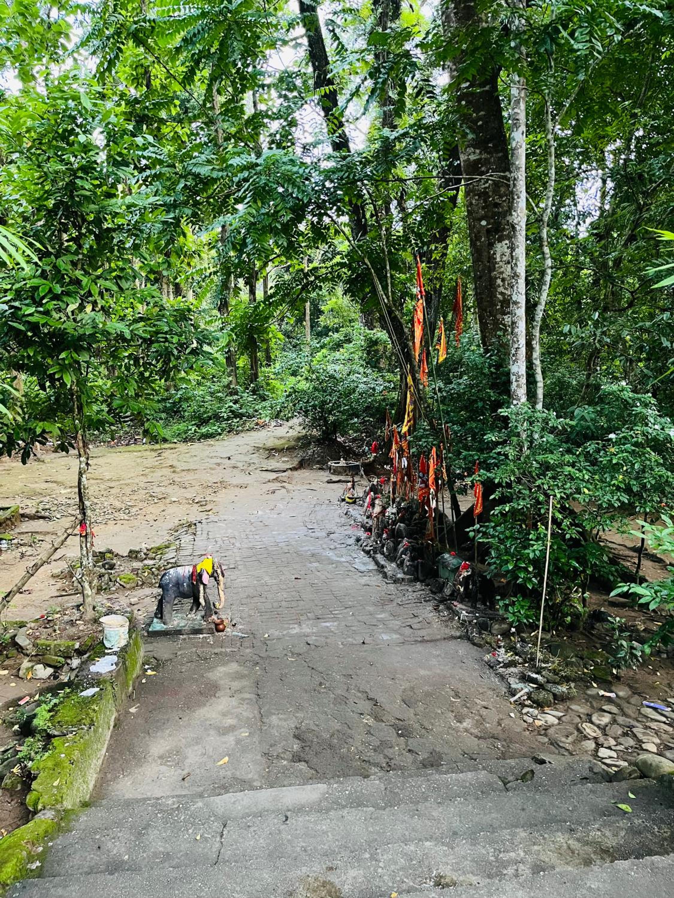 Swarnali Homestay