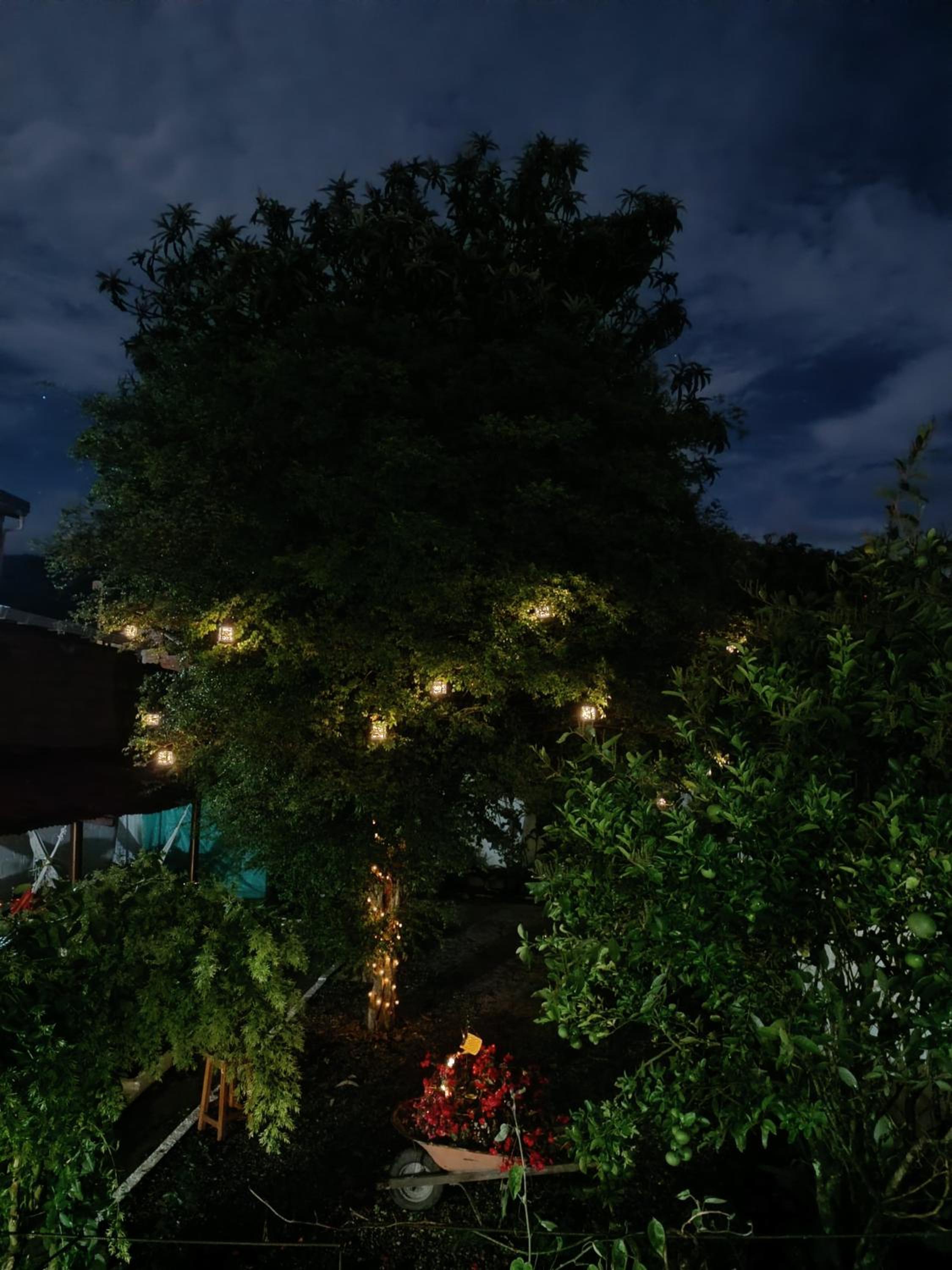 Magic Jardín Hostel - Patio, Balcony & Rooftop