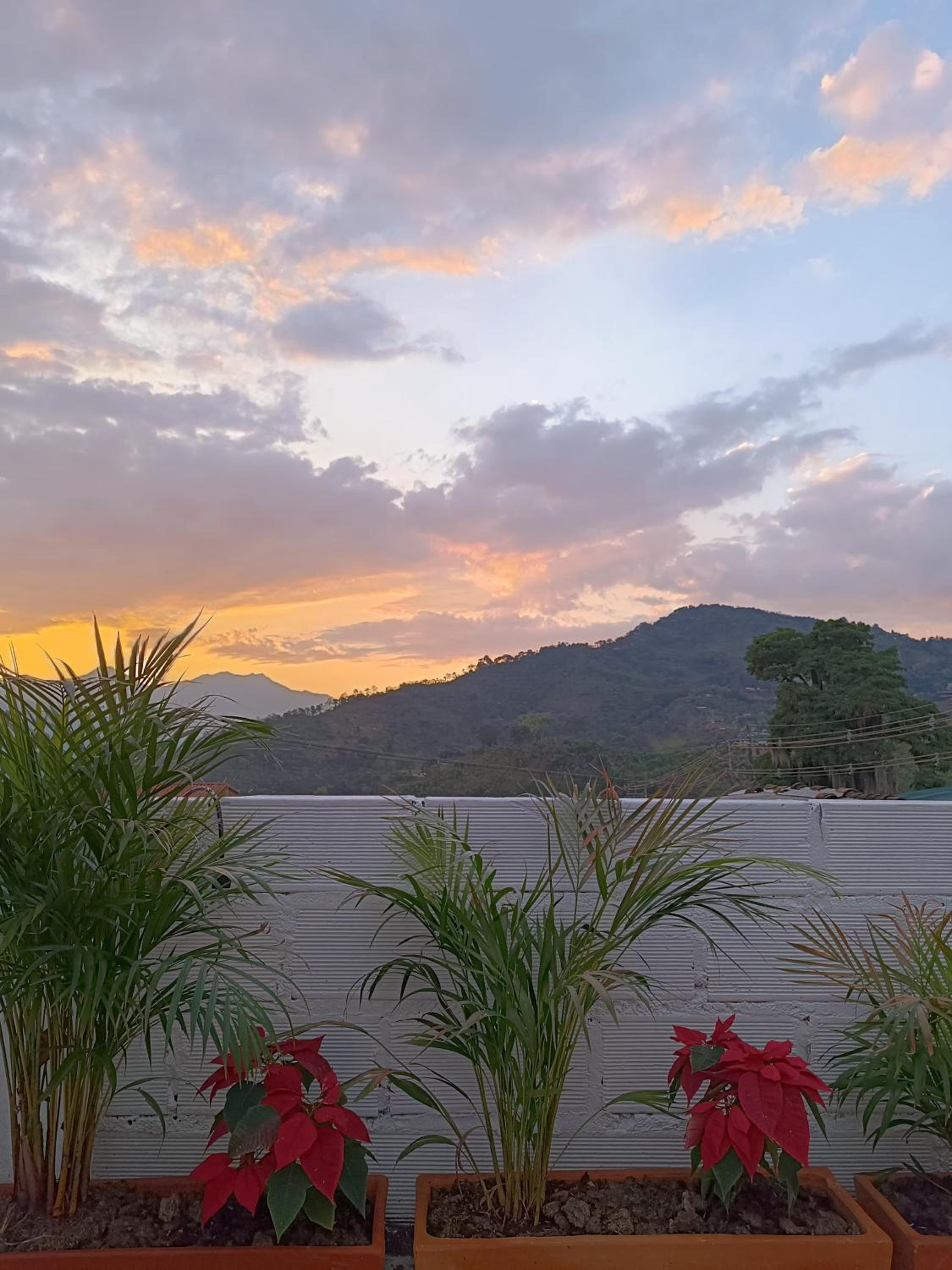 Magic Jardín Hostel - Patio, Balcony & Rooftop
