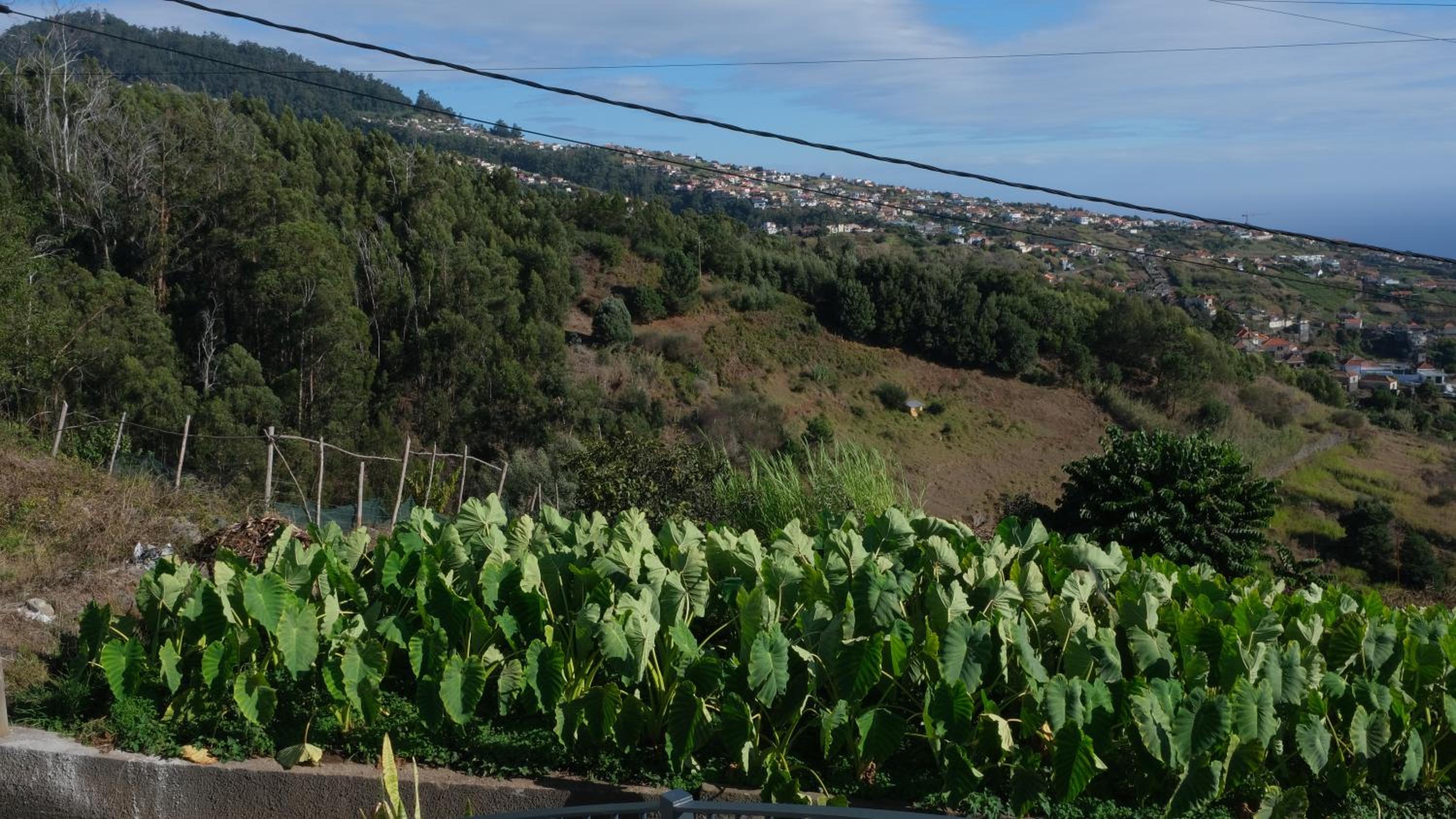 Quinta do Carmo house with View view 2