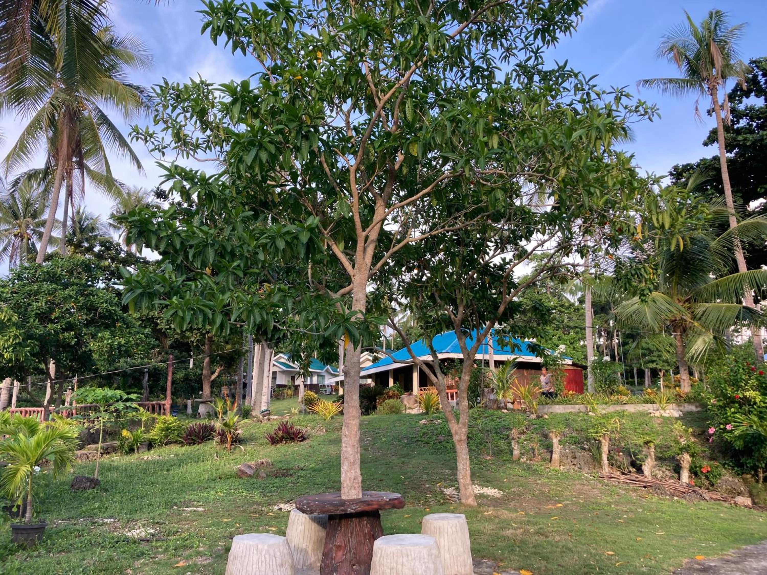 Camotes Affordable Staycation