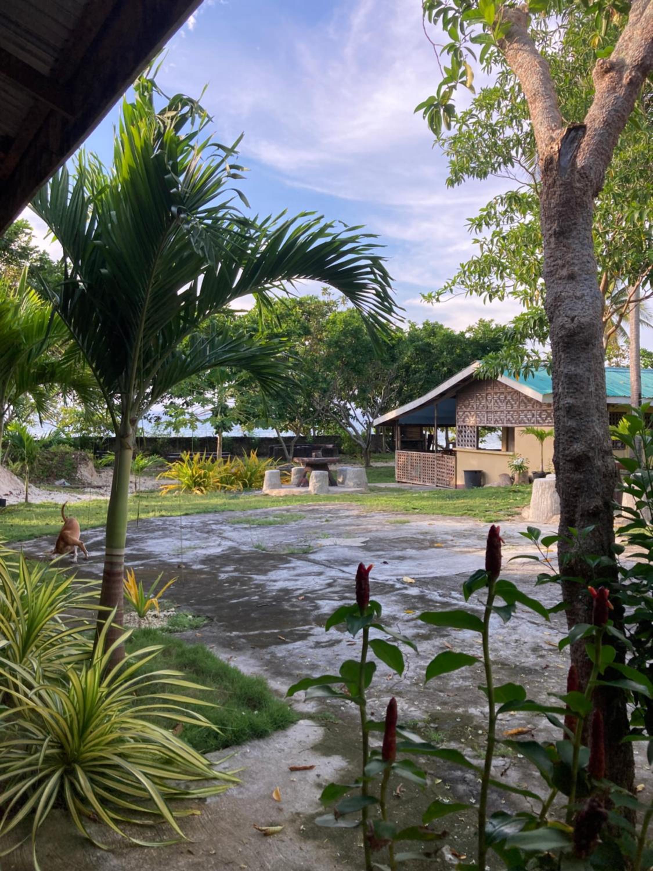 Camotes Affordable Staycation