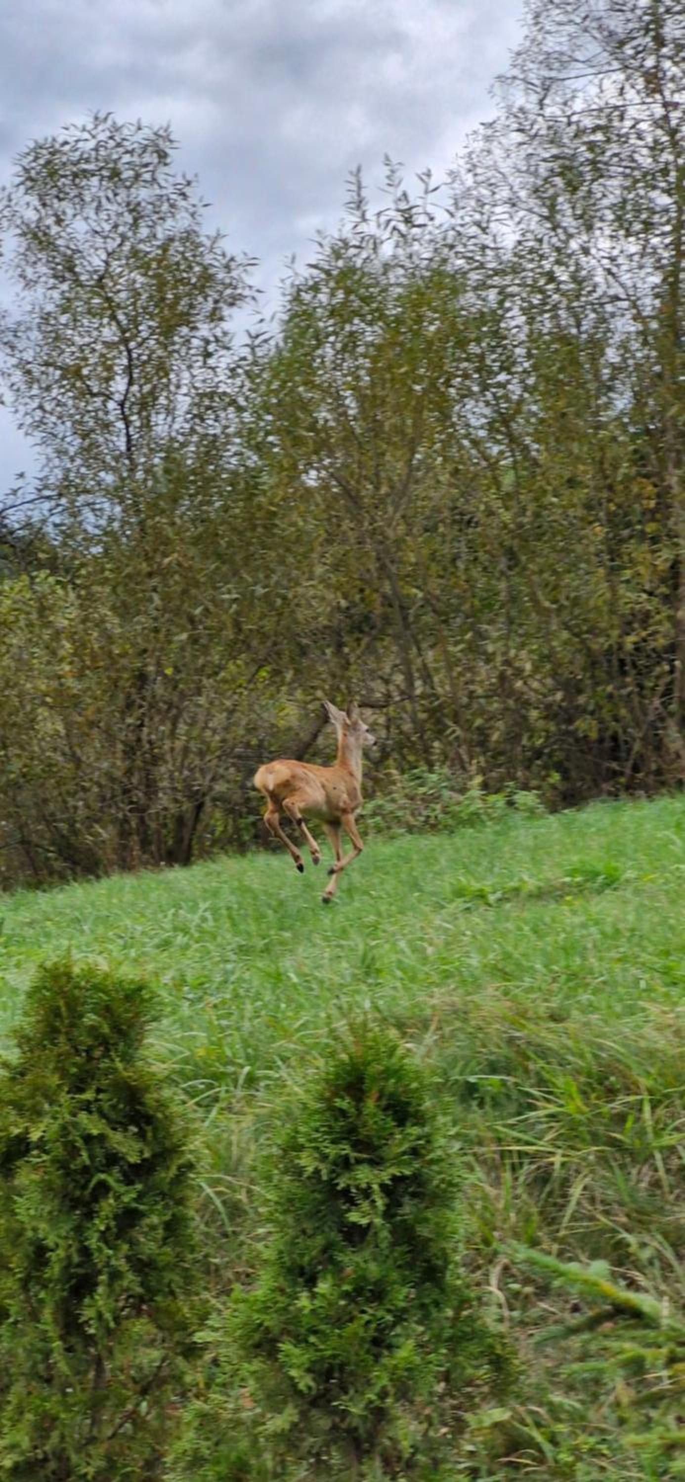 Domek Pod Tylką