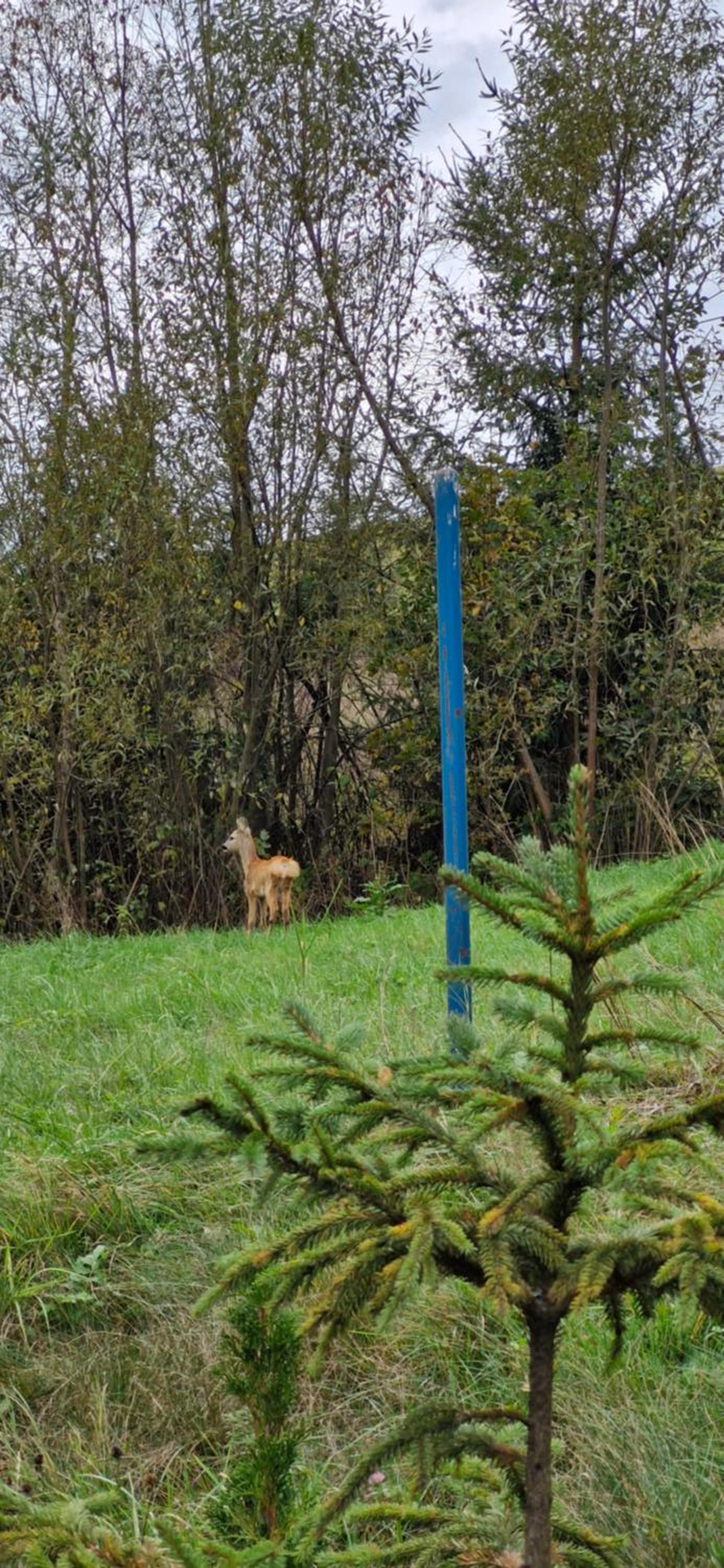 Domek Pod Tylką