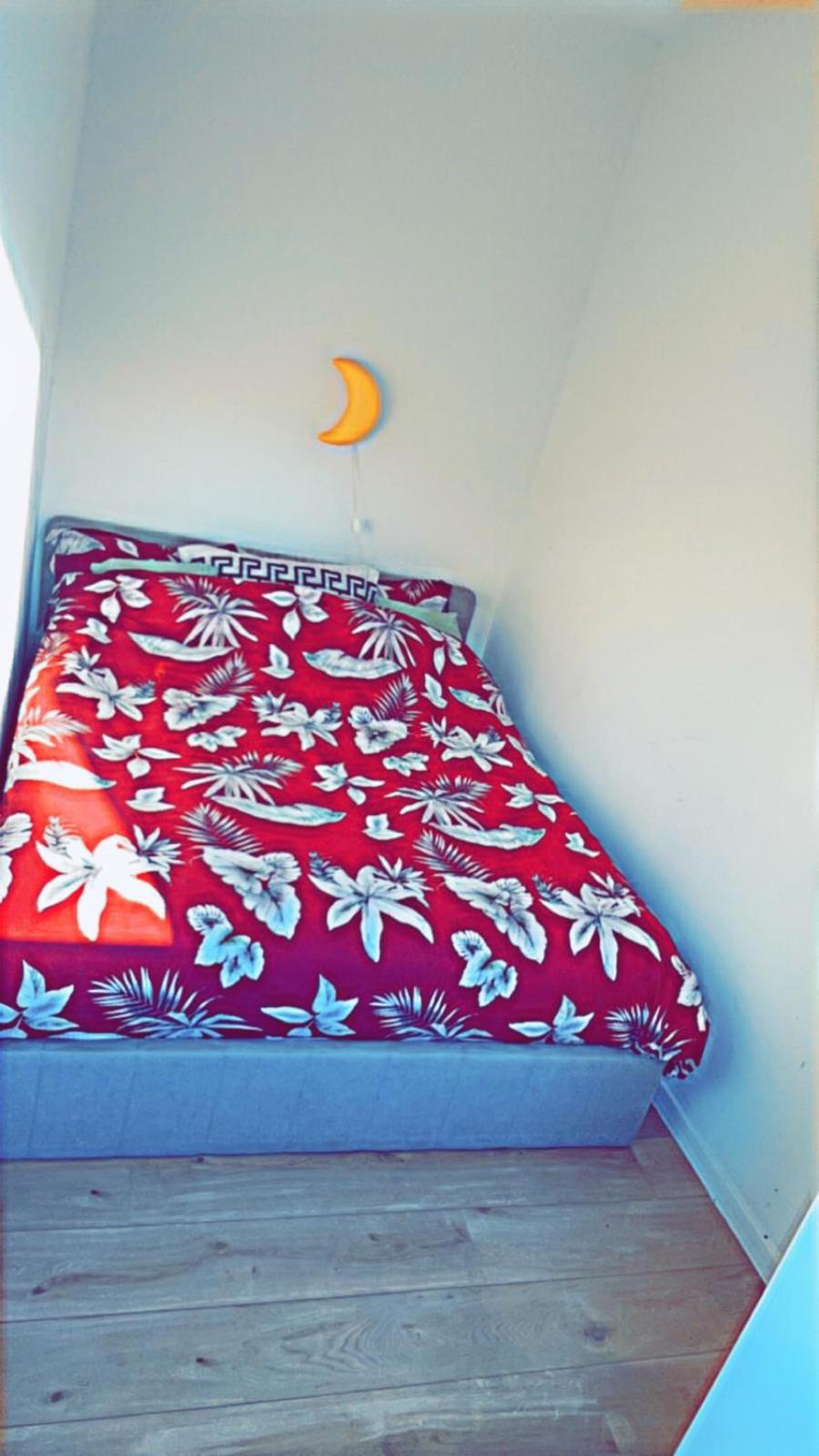Apartament LUX