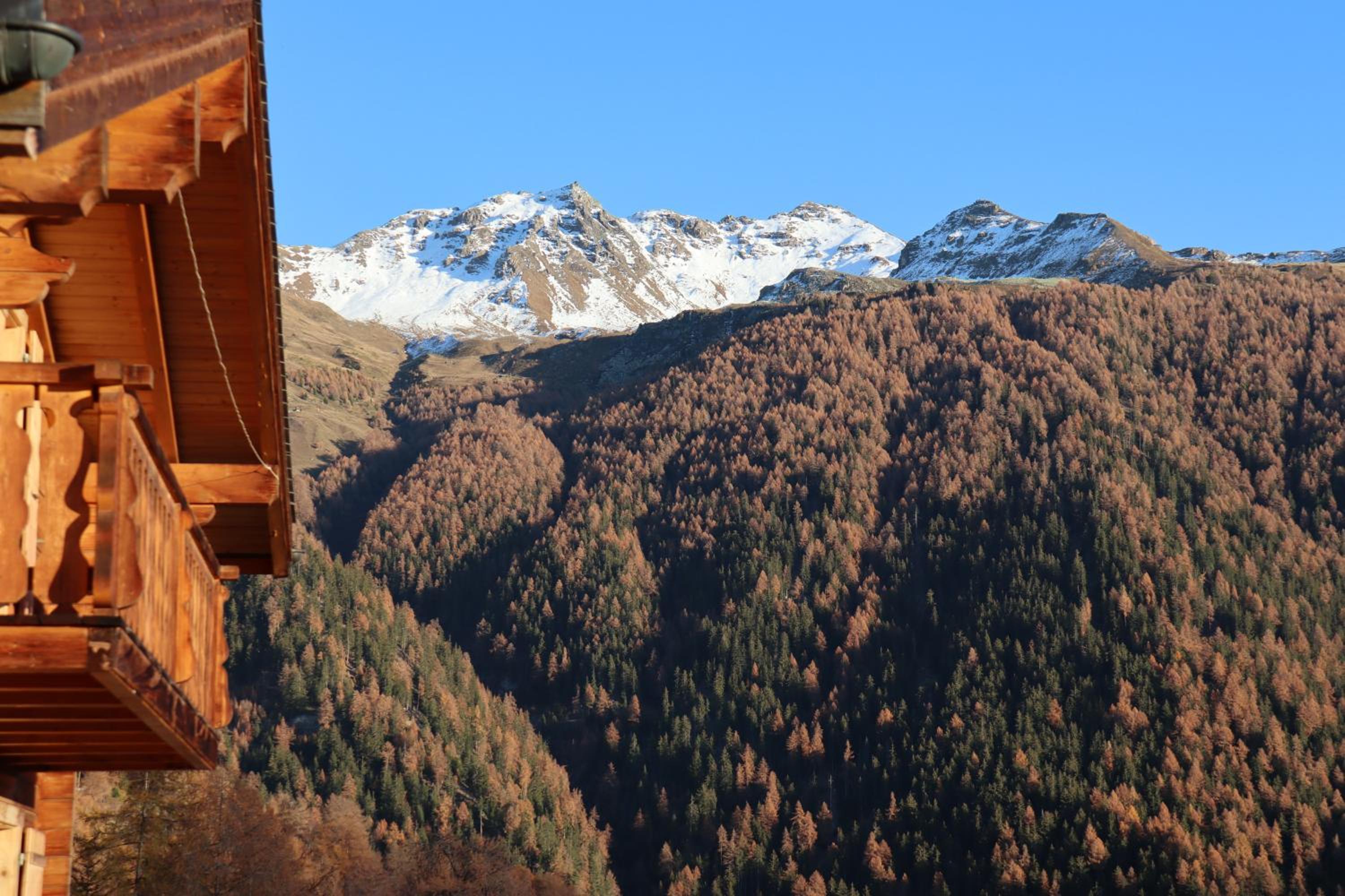 Chalet Papillon