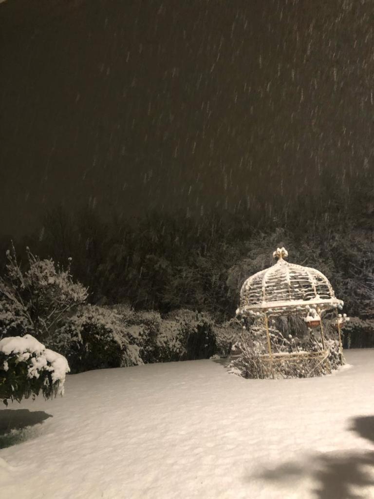 B&B La Voliera photo 3