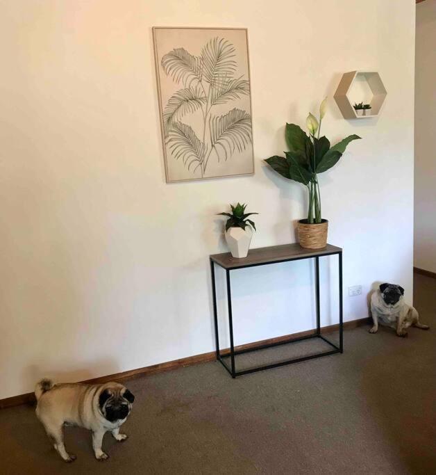 Cedar Palms Pet friendly close to red rocks beach