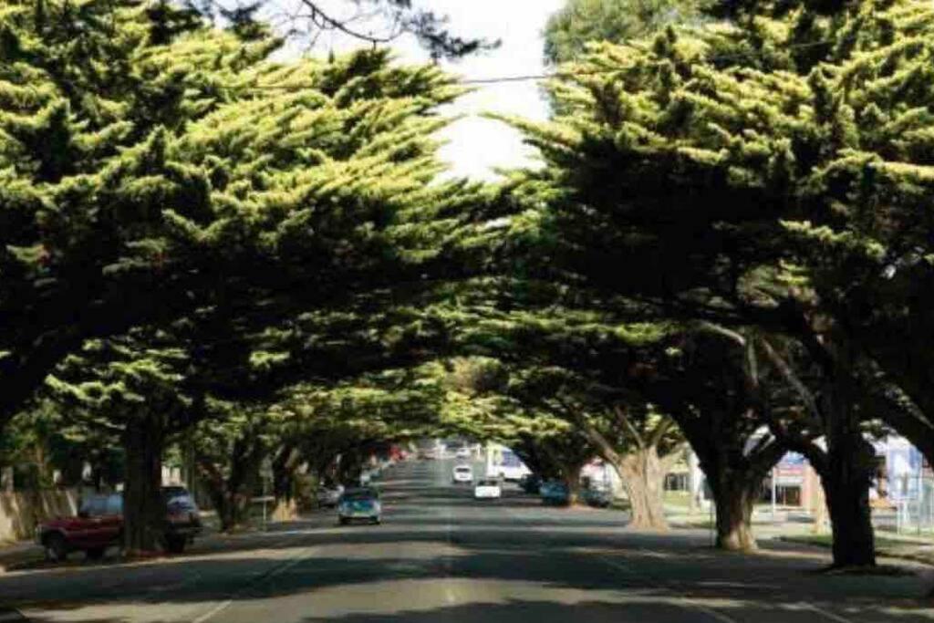 Cedar Palms Pet friendly close to red rocks beach