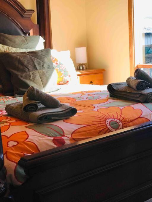 Cedar Palms Pet friendly close to red rocks beach