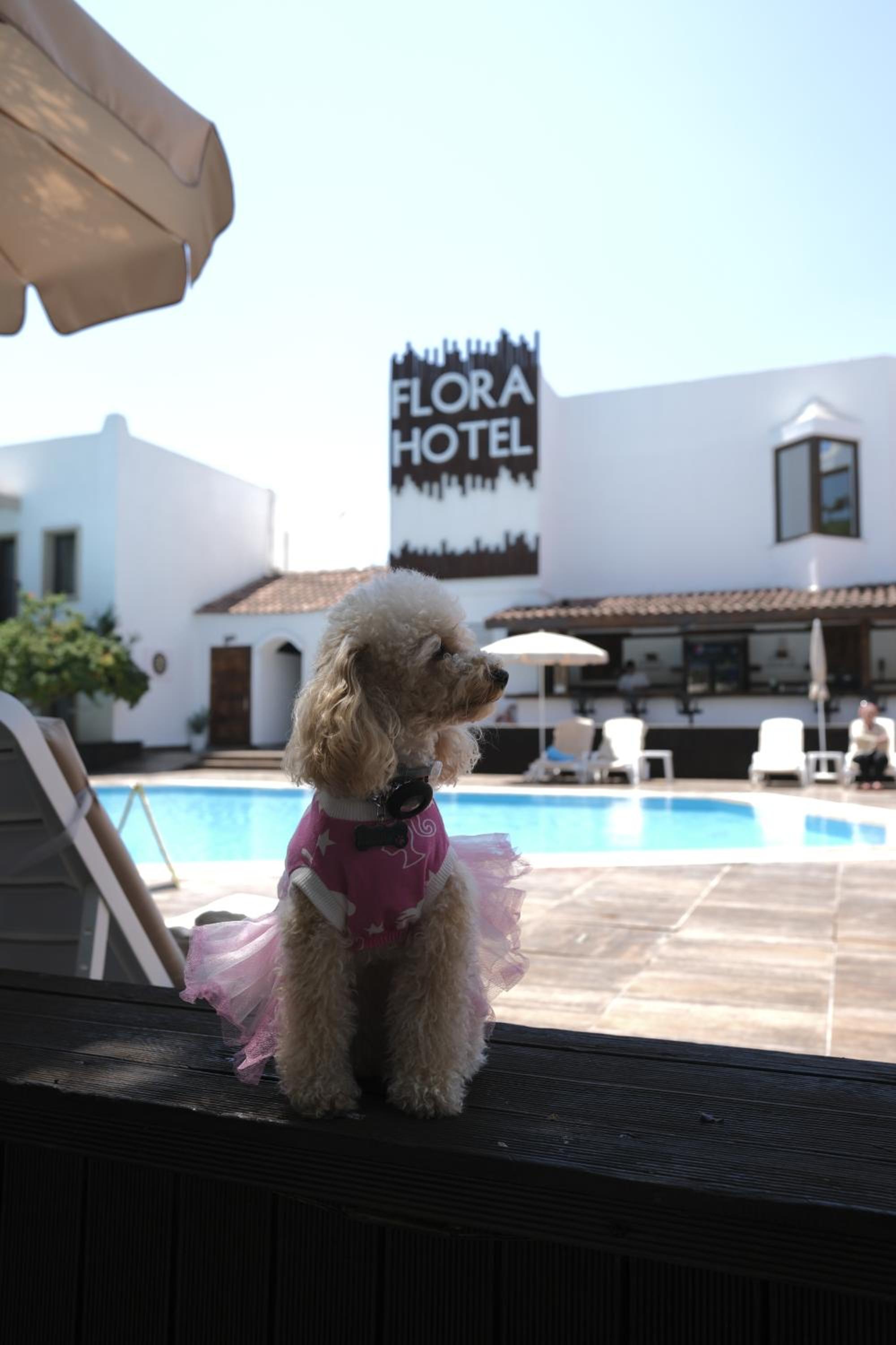 Flora Hotel