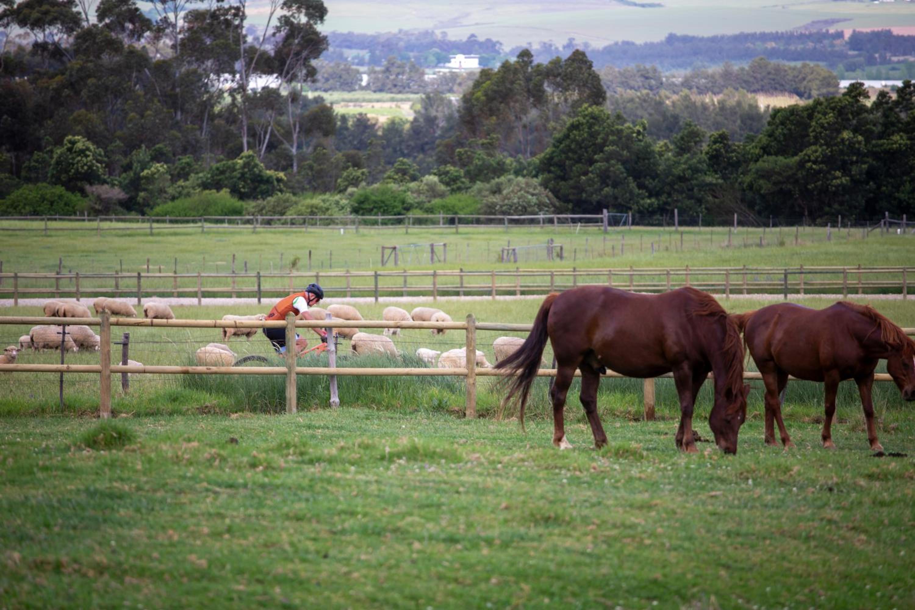 Raptor Rise Farm