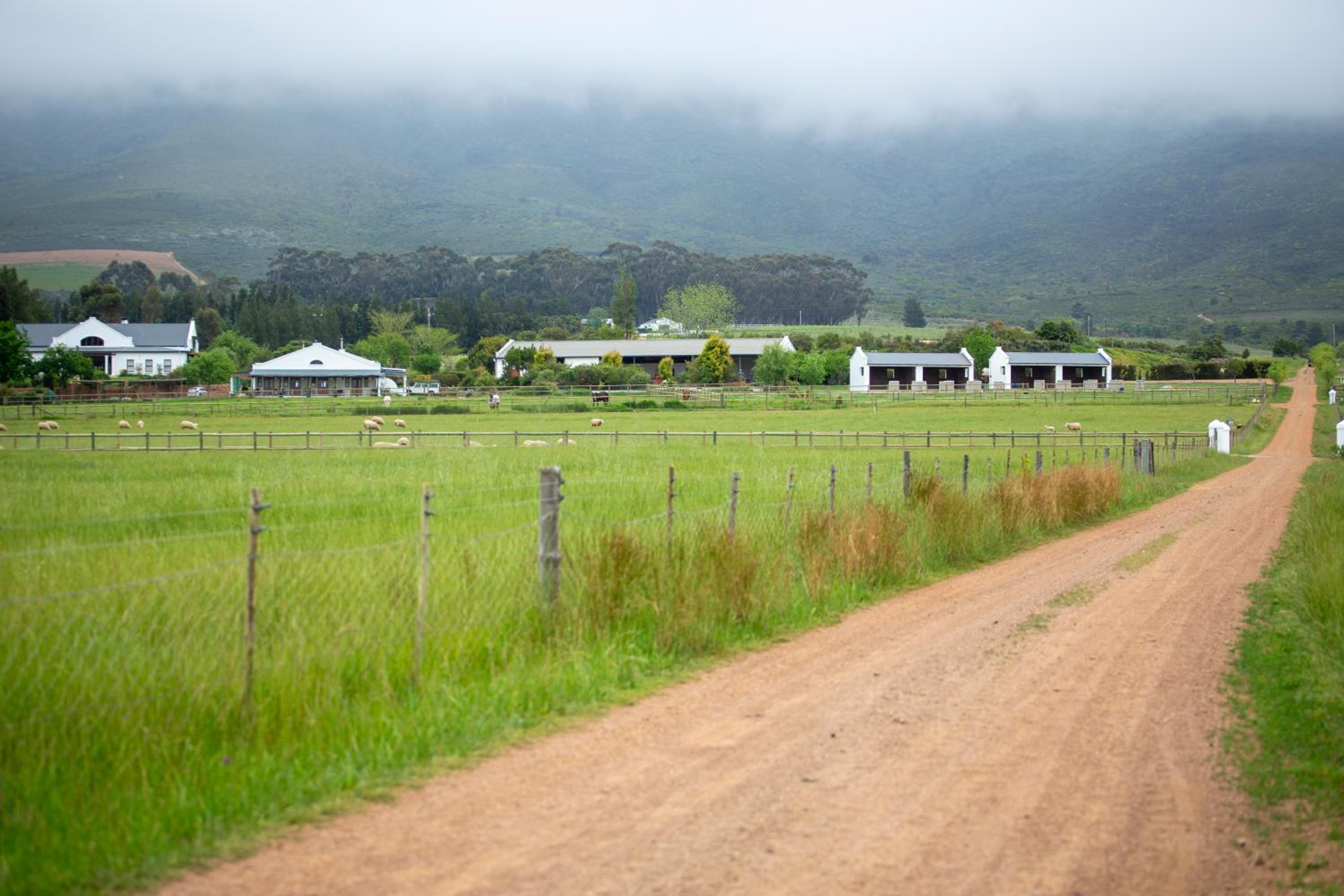 Raptor Rise Farm