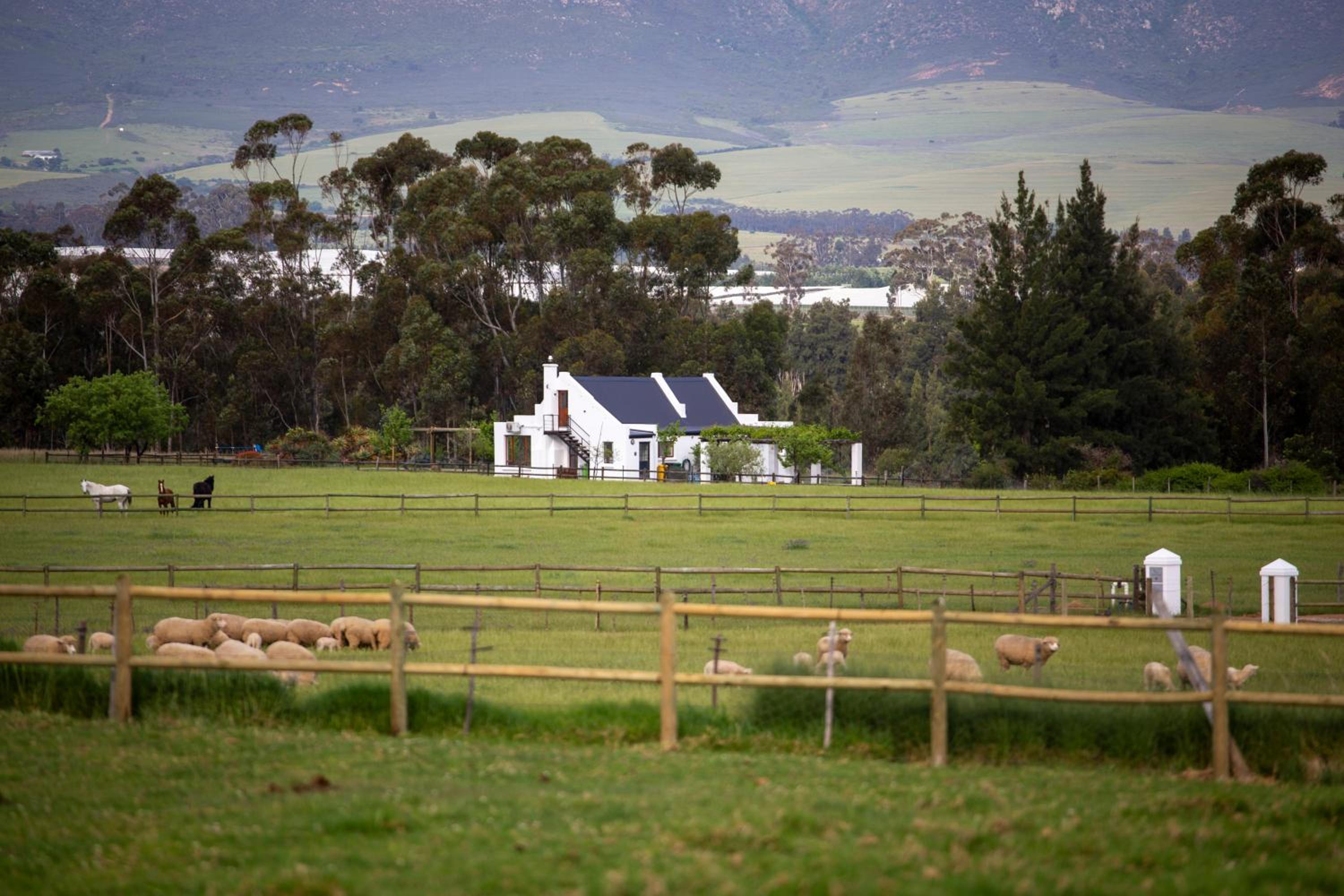 Raptor Rise Farm