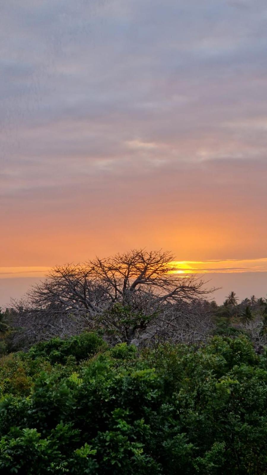 MONKEY MOUNTAIN LODGE