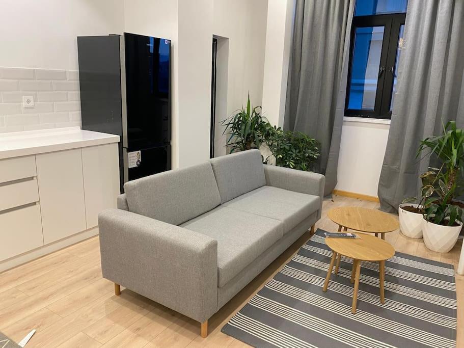 Cozy Apart Near Fountain Square