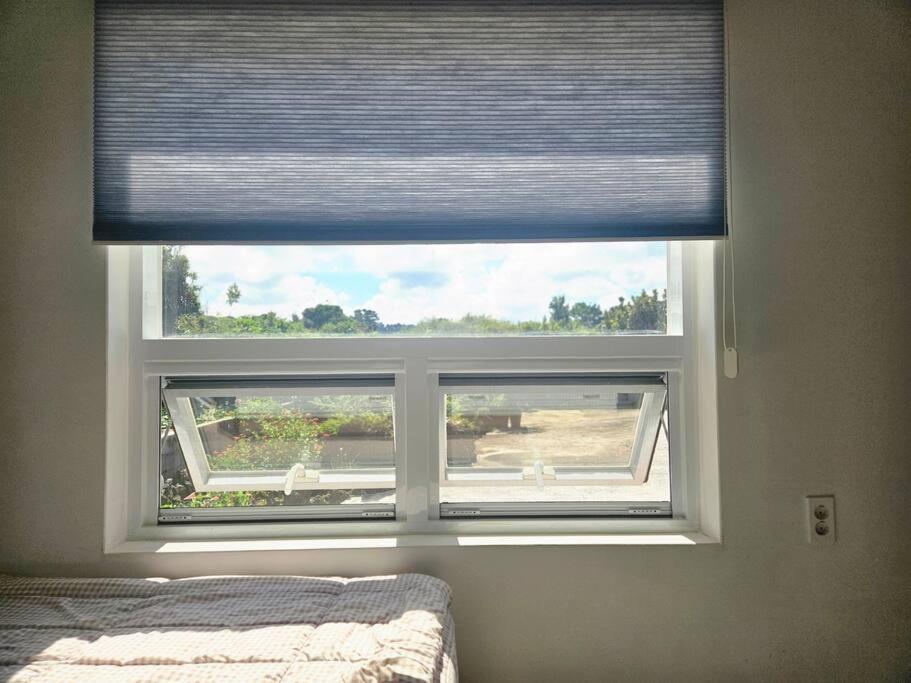 Photo 59