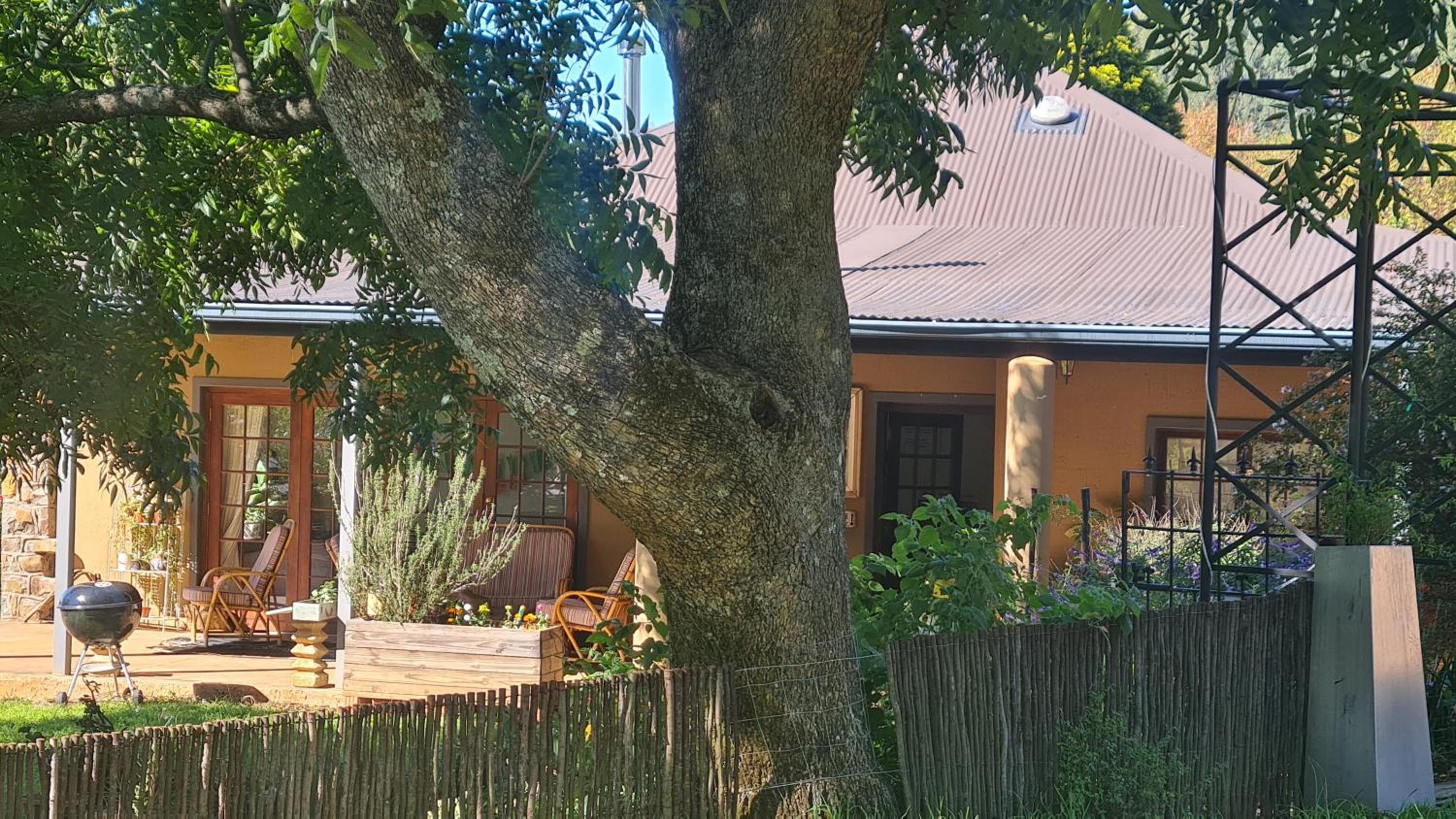 A2B Eco Farm, Byrne Valley, KZN view 4