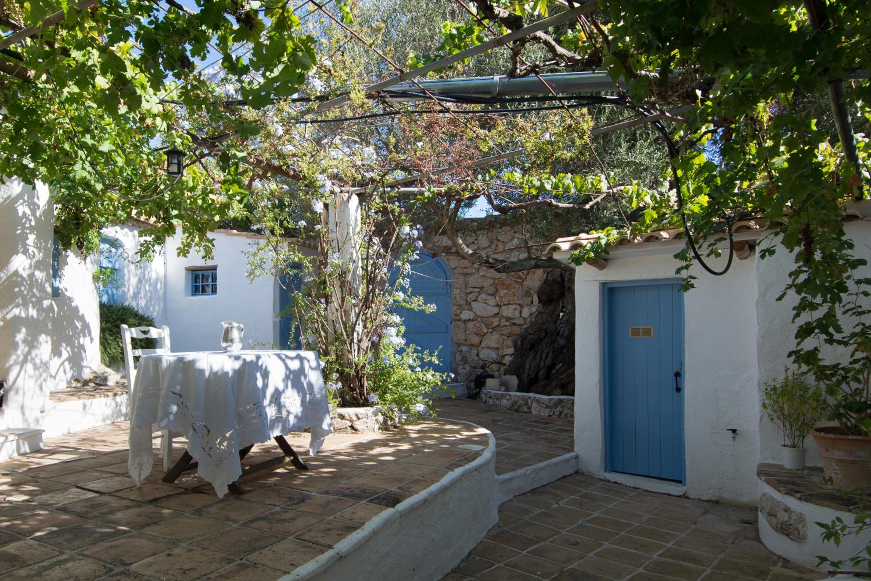 Xyloporta