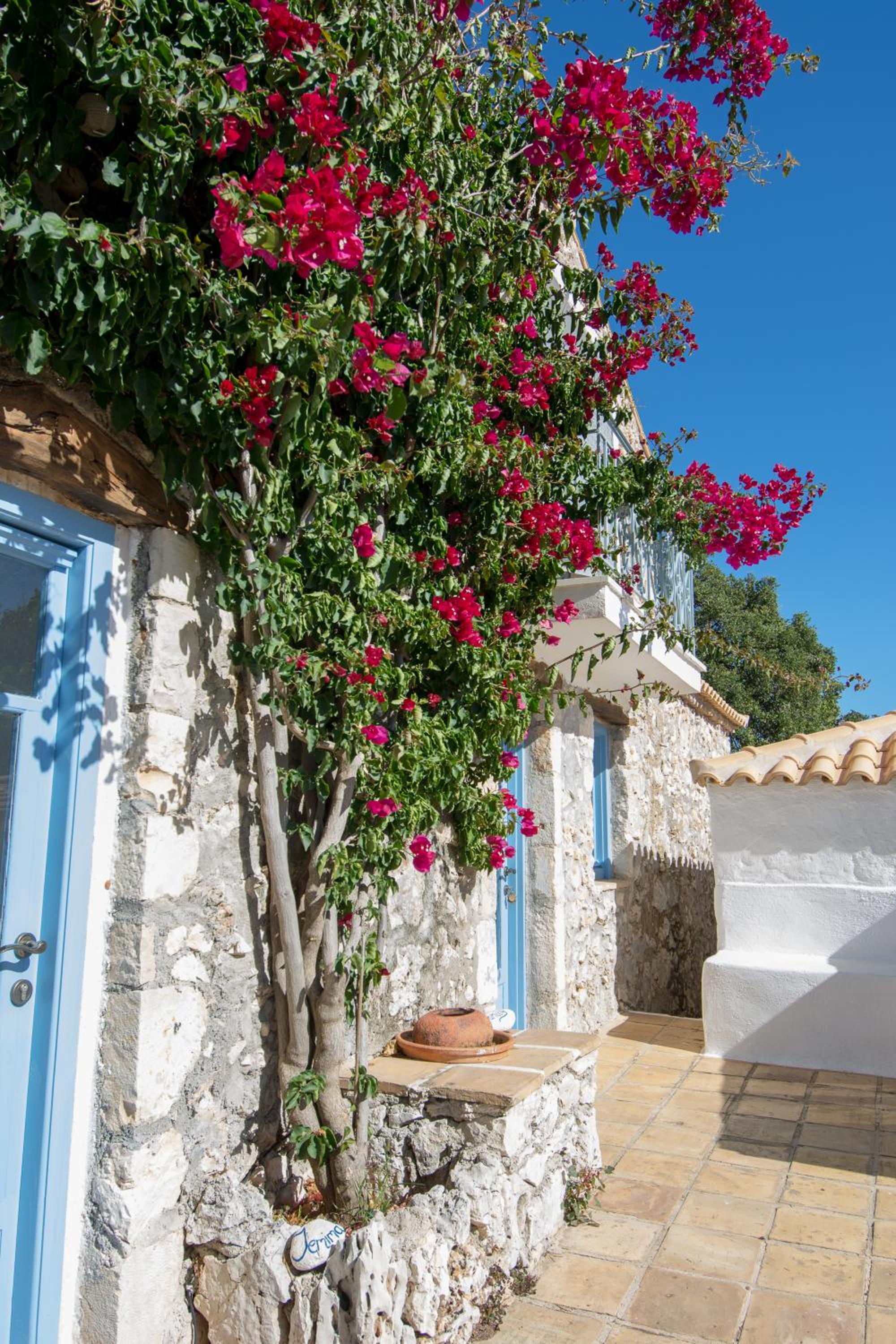Xyloporta