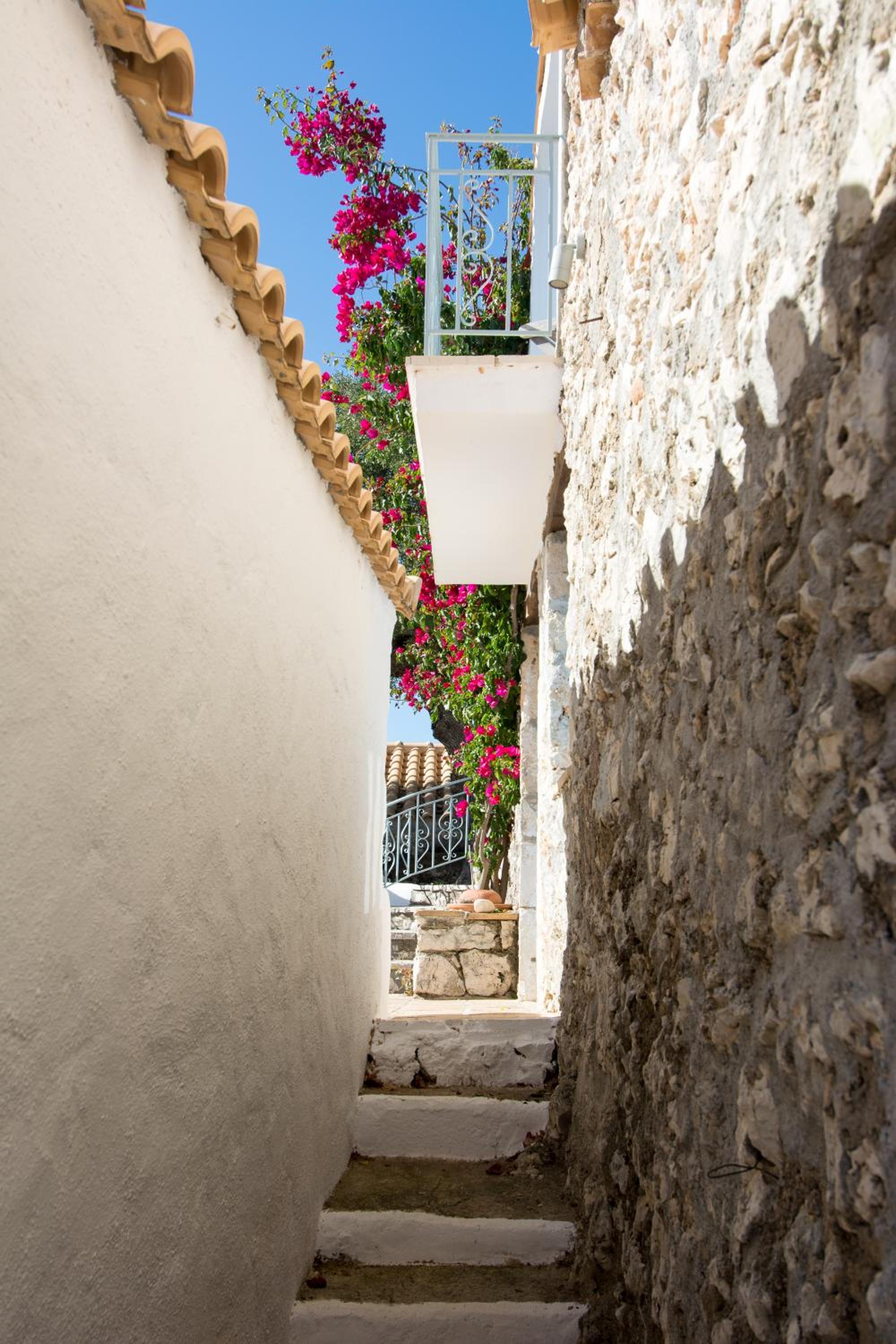 Xyloporta
