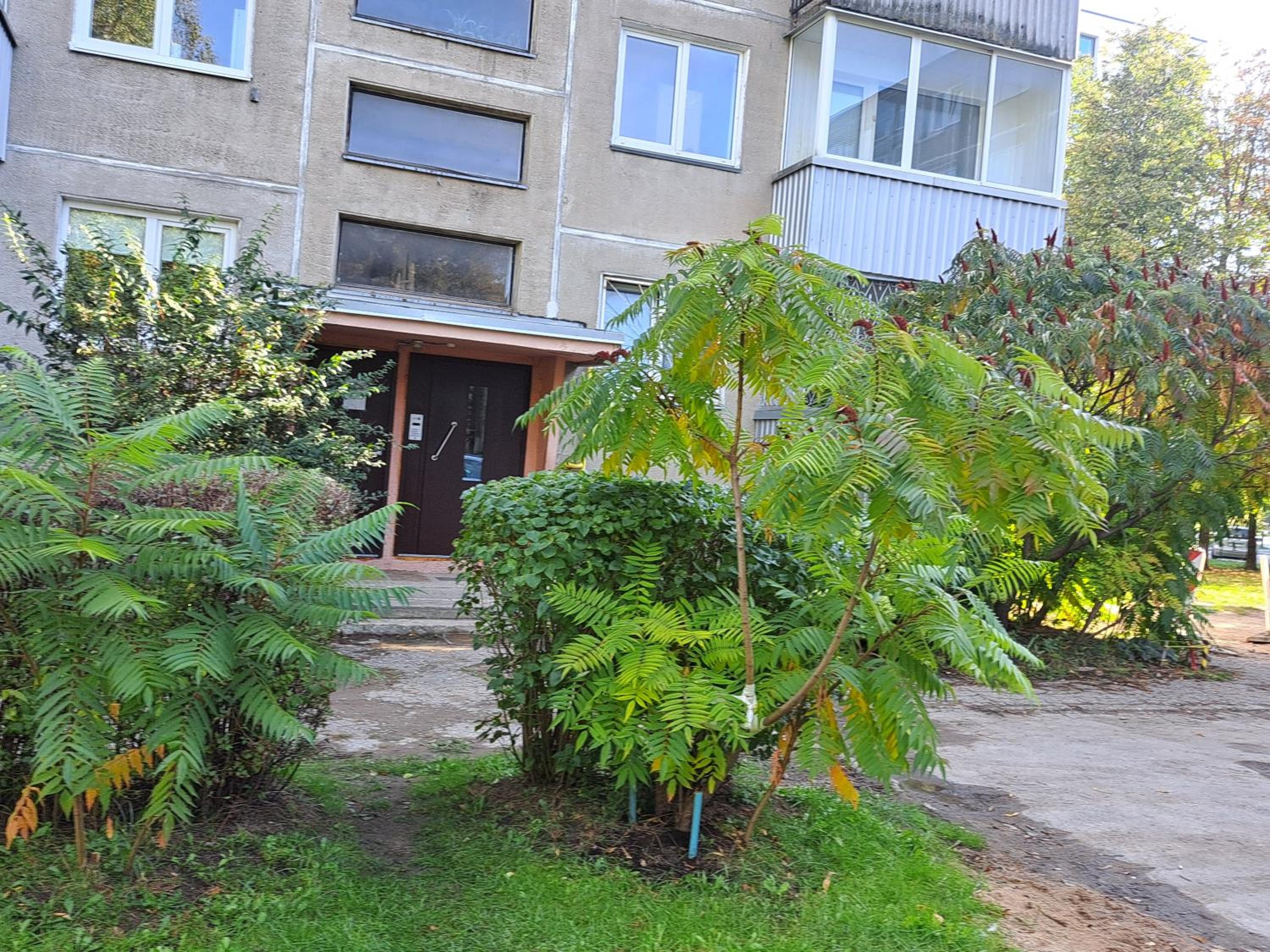 Urban Escape Kaunas - Quiet Apartment 5 km from City Center