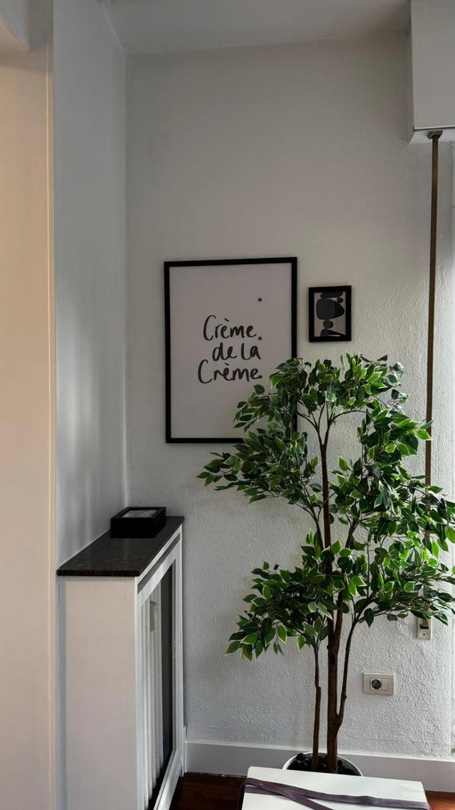 Vt recién renovada en Zabalburu