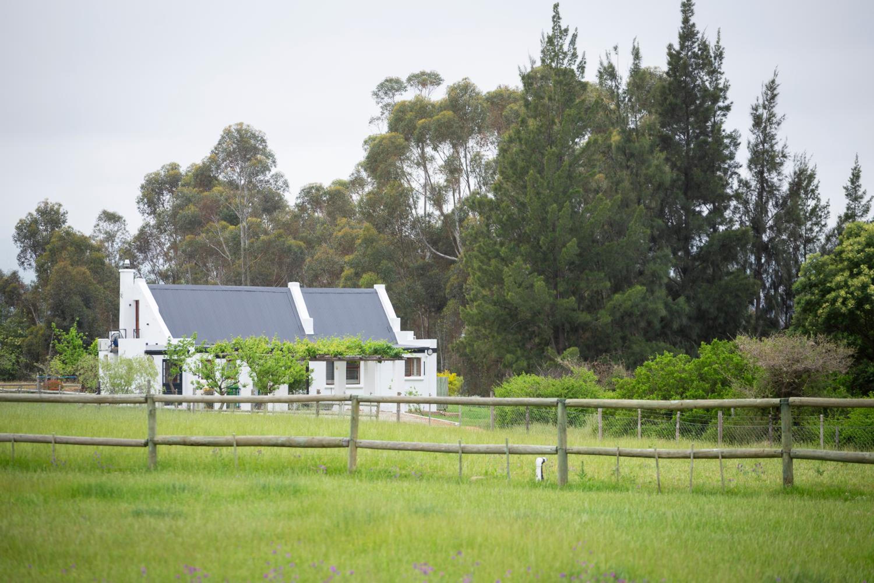 Raptor Rise Farm