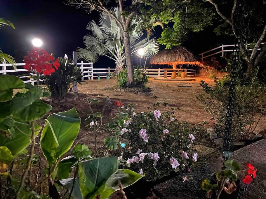 Chalé e Cachoeira Sítio Igrejinha Serra da Bocaina