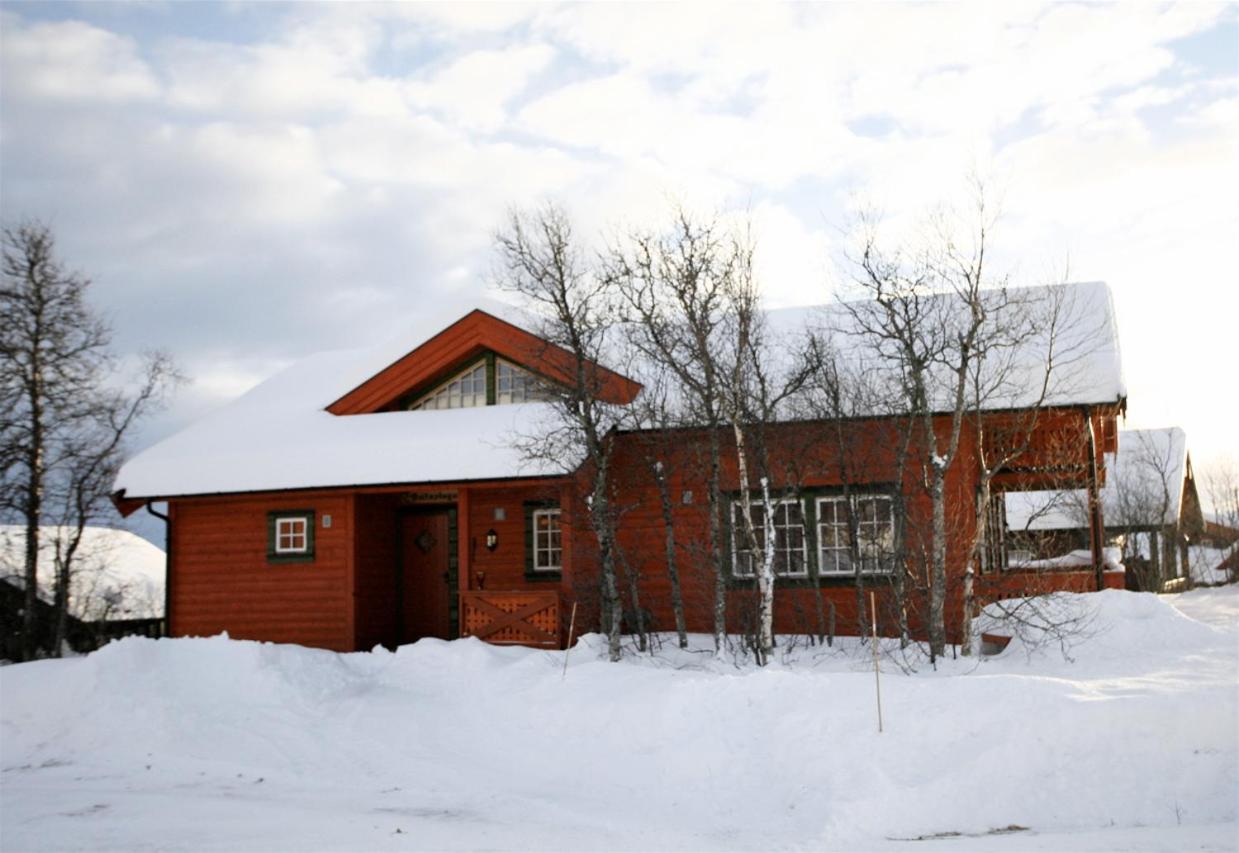 Photo 12