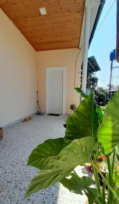 BaBa guesthouse