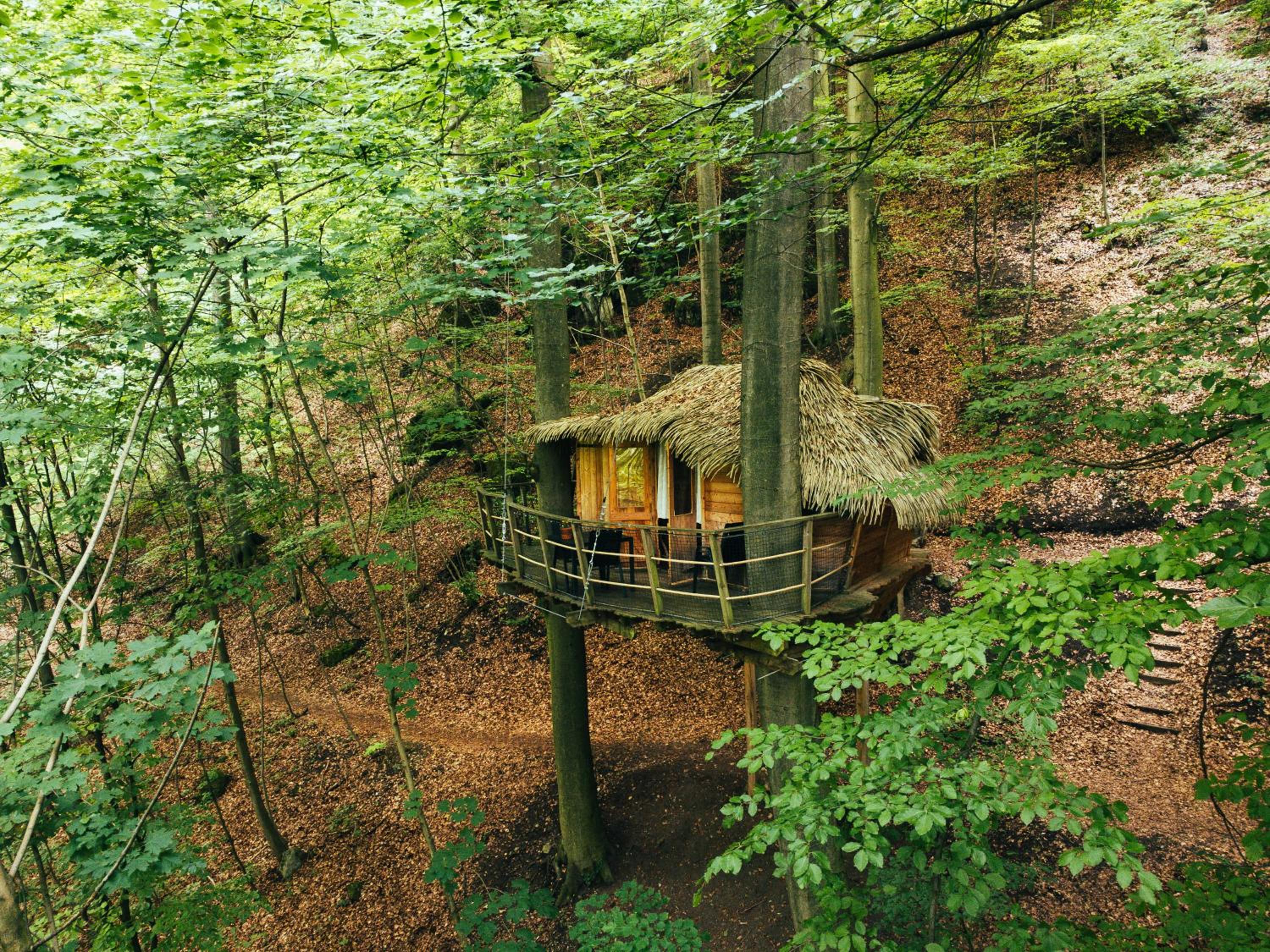 Treehouse Trenčianske Teplice