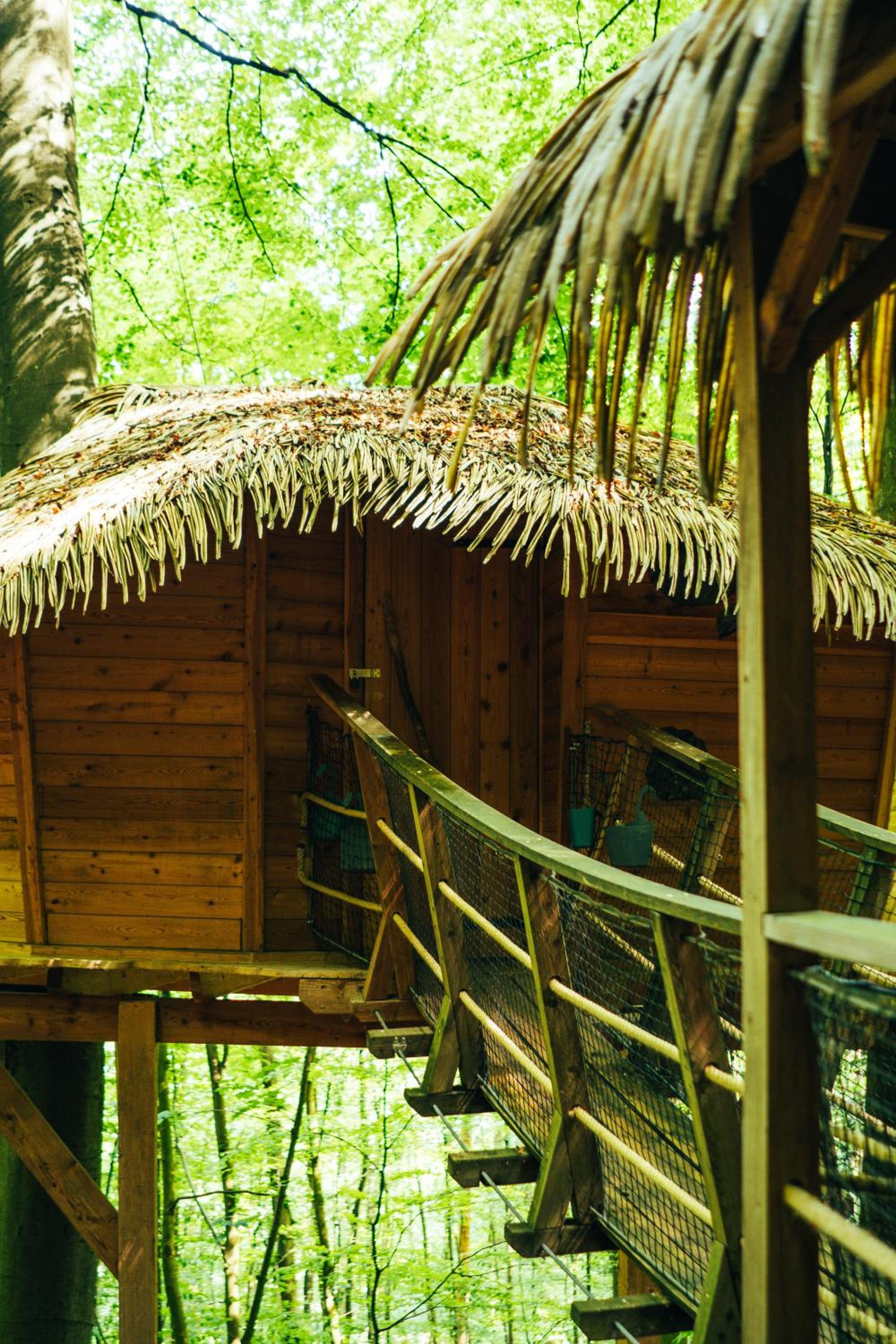 Treehouse Trenčianske Teplice