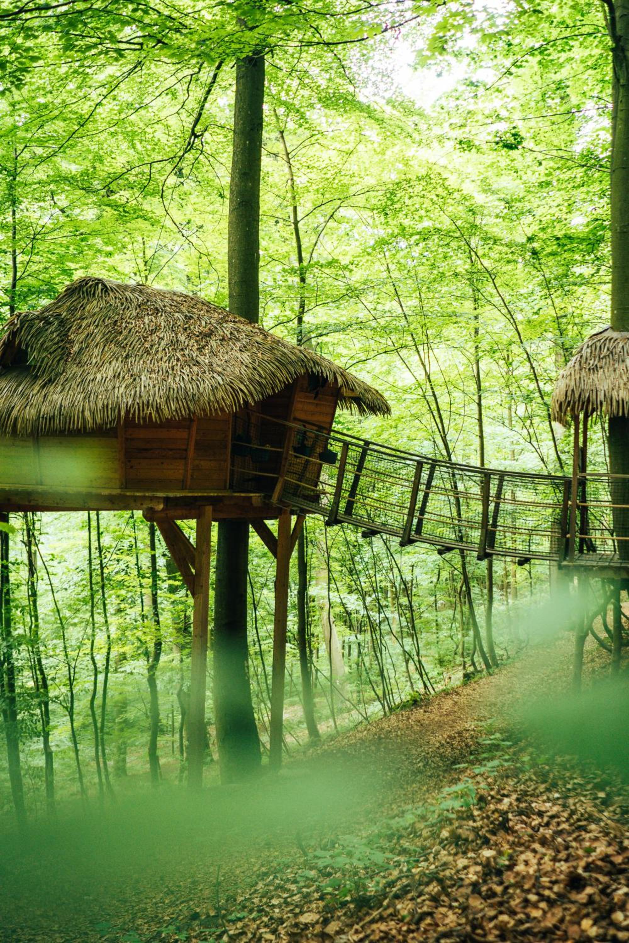 Treehouse Trenčianske Teplice
