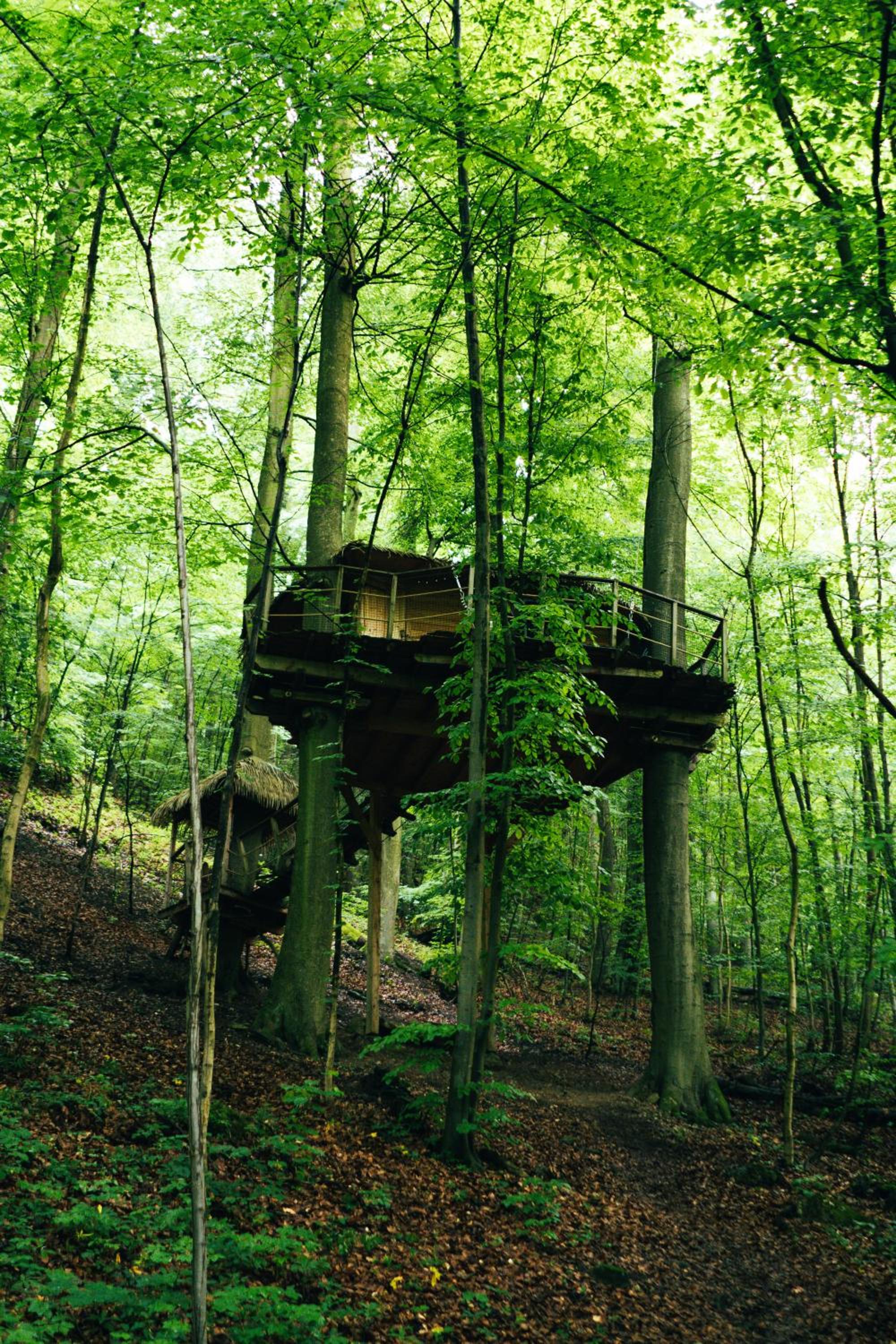 Treehouse Trenčianske Teplice