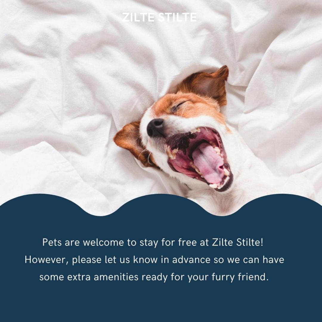 ZILTE STILTE