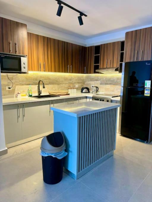 Deluxe 2 bedroom apartment