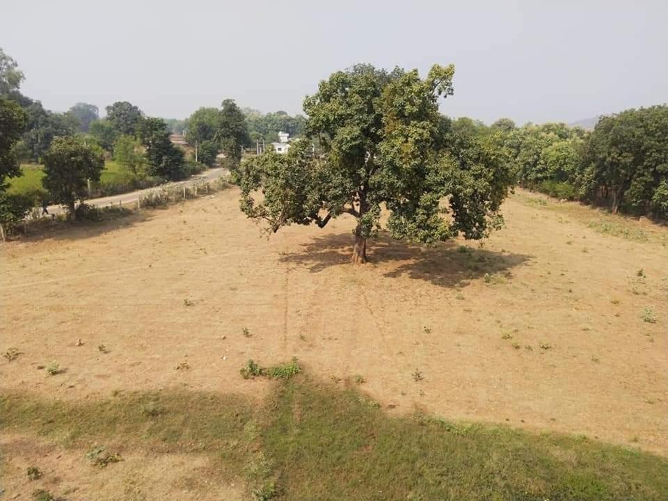 Aashiyana Homestay