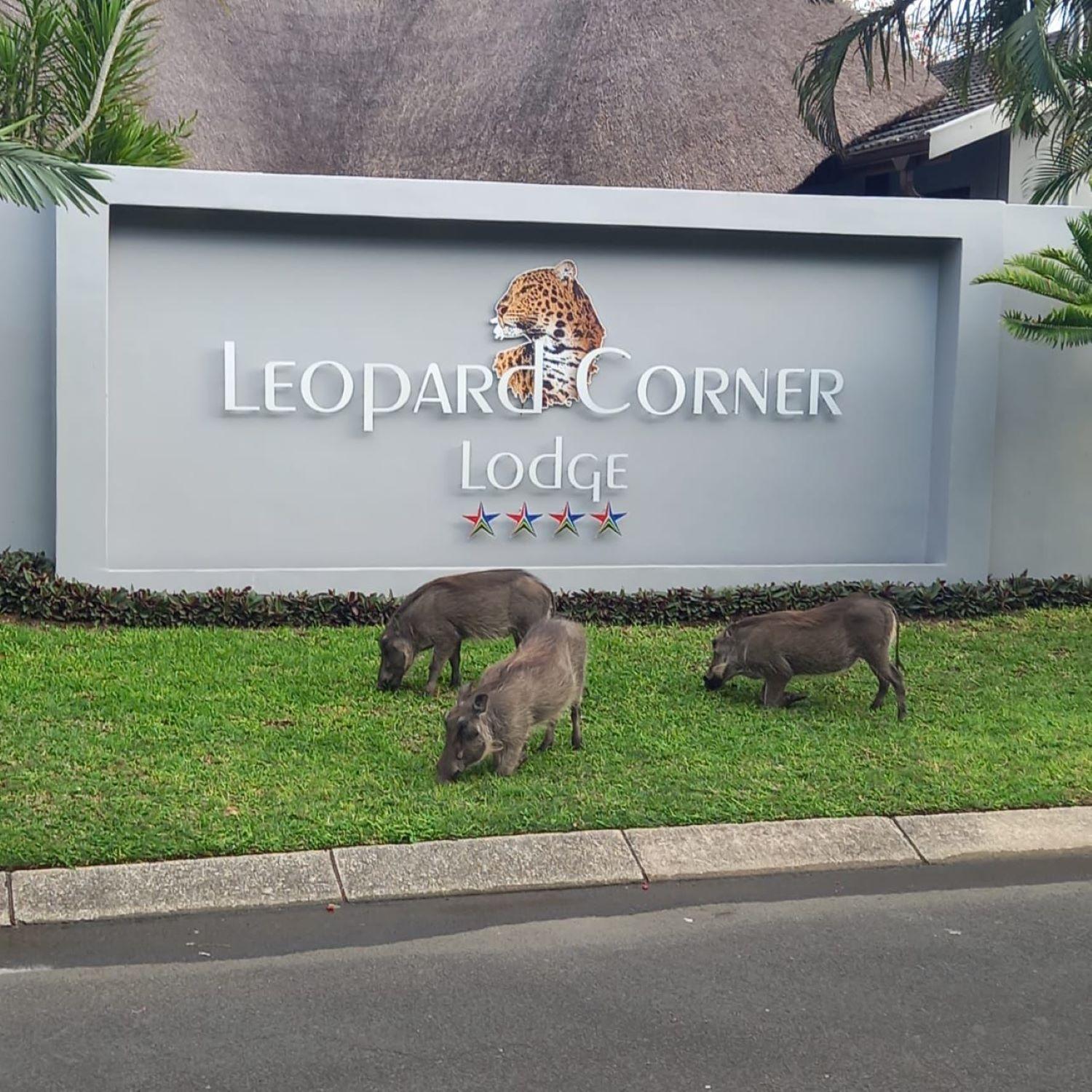 Leopard Corner Lodge