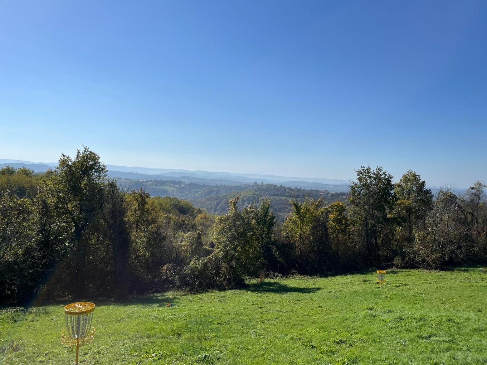 Pet friendly cabin with amazing view
