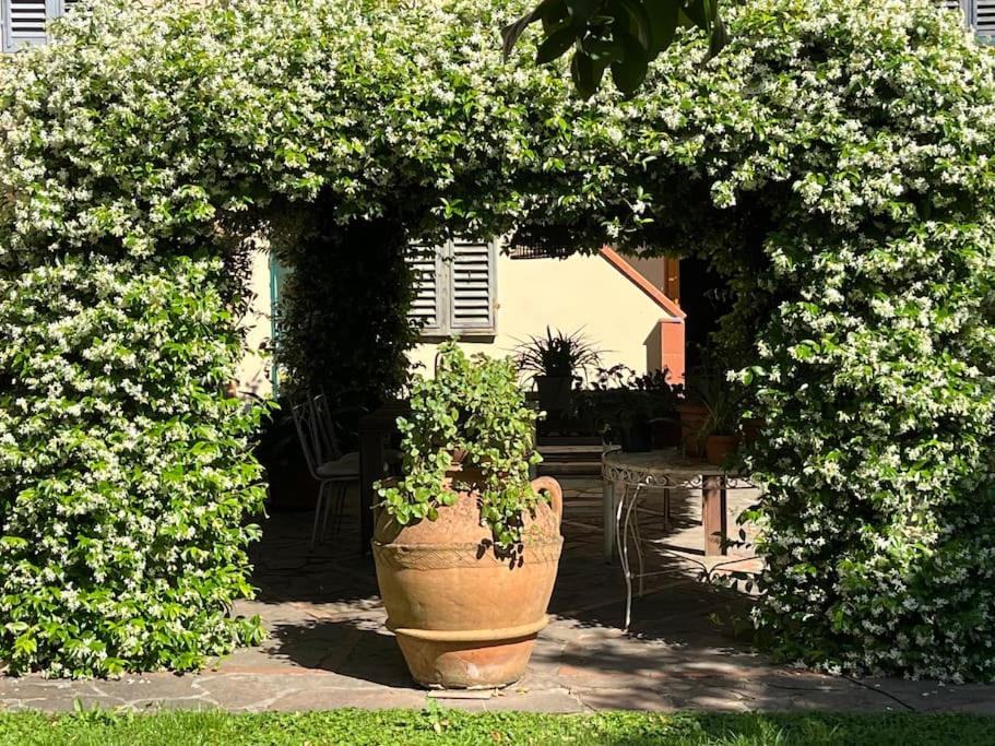 Figline Valdarno Vacations - Casa fuori Firenze - Property Image 8