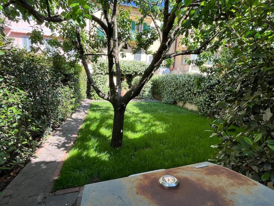 Figline Valdarno Vacations - Casa fuori Firenze - Property Image 7