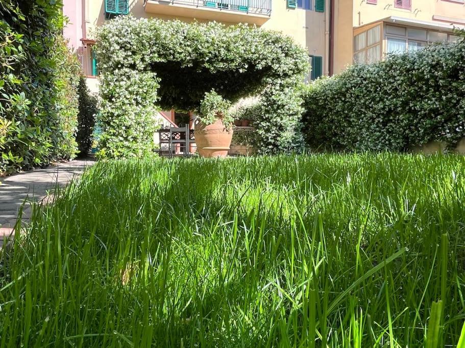 Figline Valdarno Vacations - Casa fuori Firenze - Property Image 9