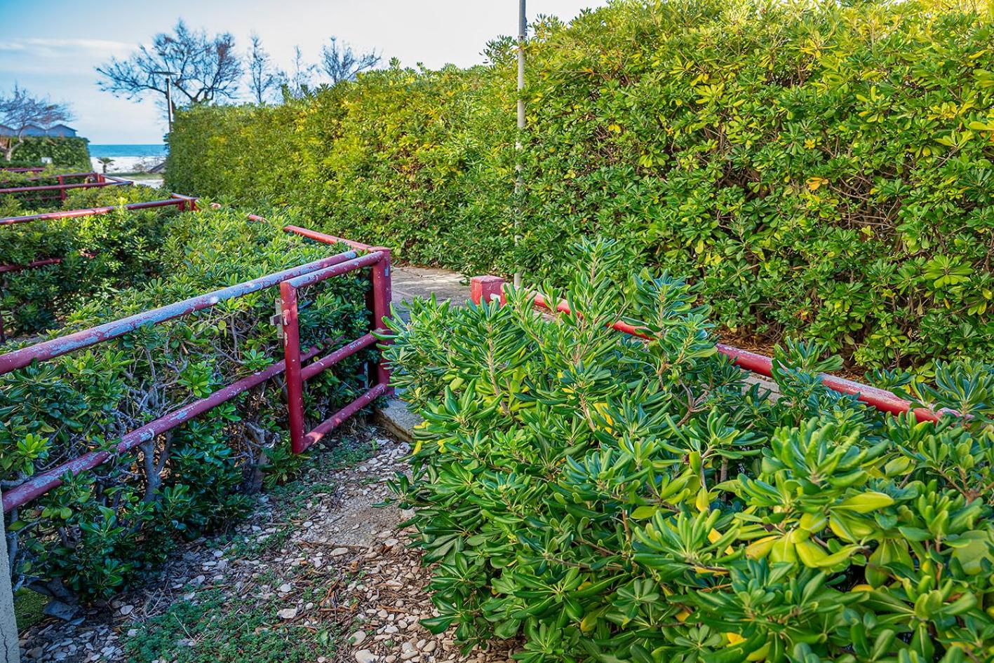 Senigallia, bilocale fronte mare con giardino - SE040 view 4